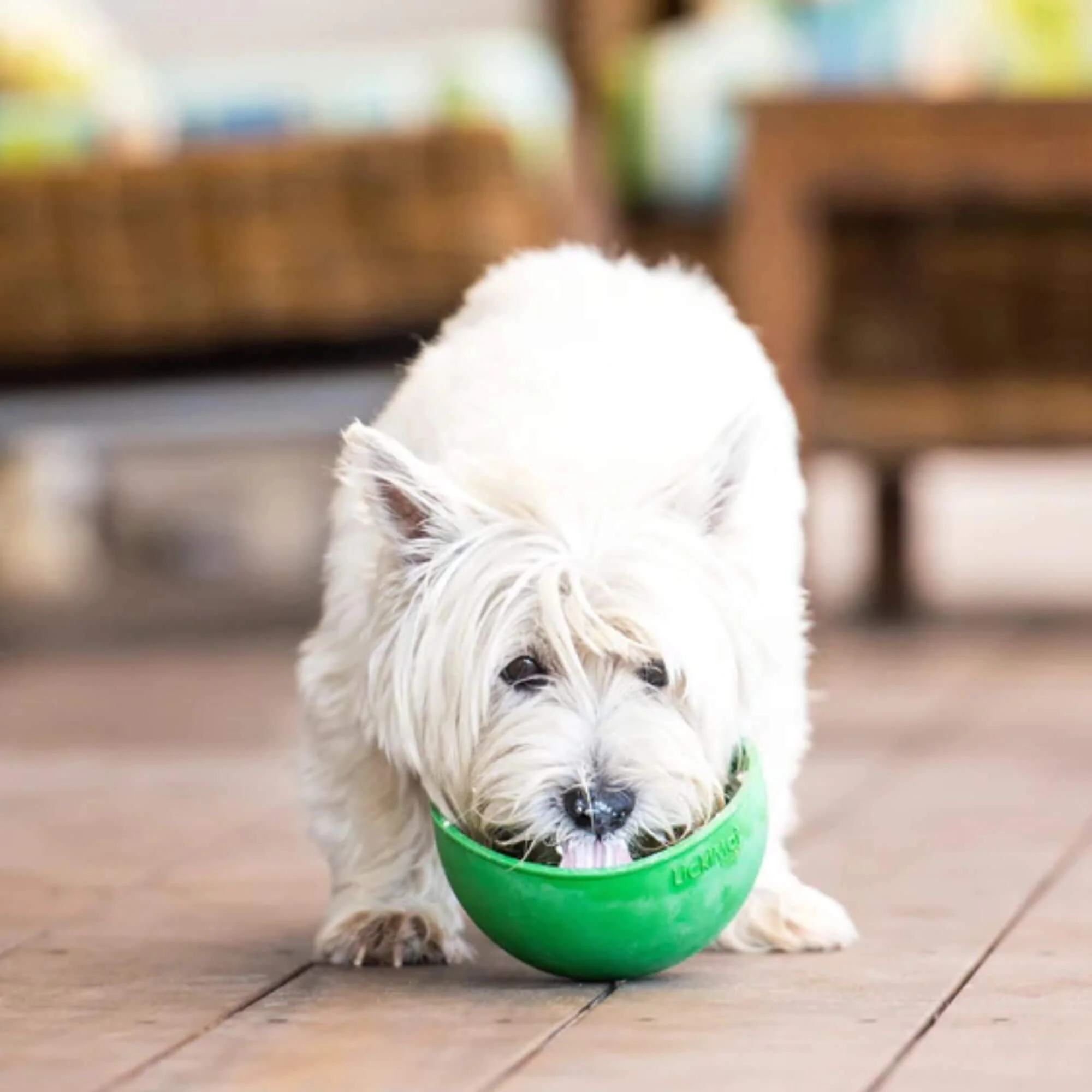 LickiMat Wobble Bordem Buster Bowl for Dogs - Image 2