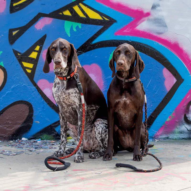 Long Paws Comfort Rope Dog Leash with Locking Click 120cm - Image 3