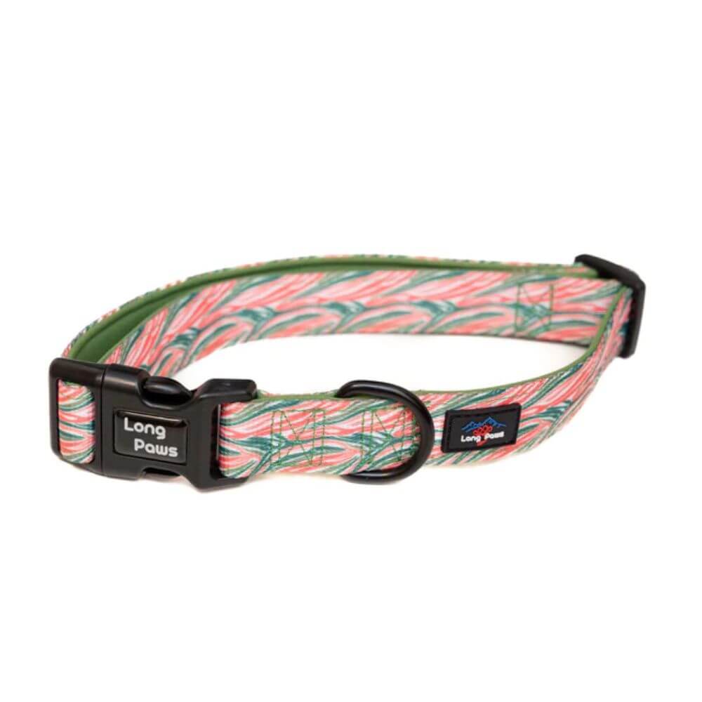 Long Paws Funk The Dog Collar in Pink Green Zebra