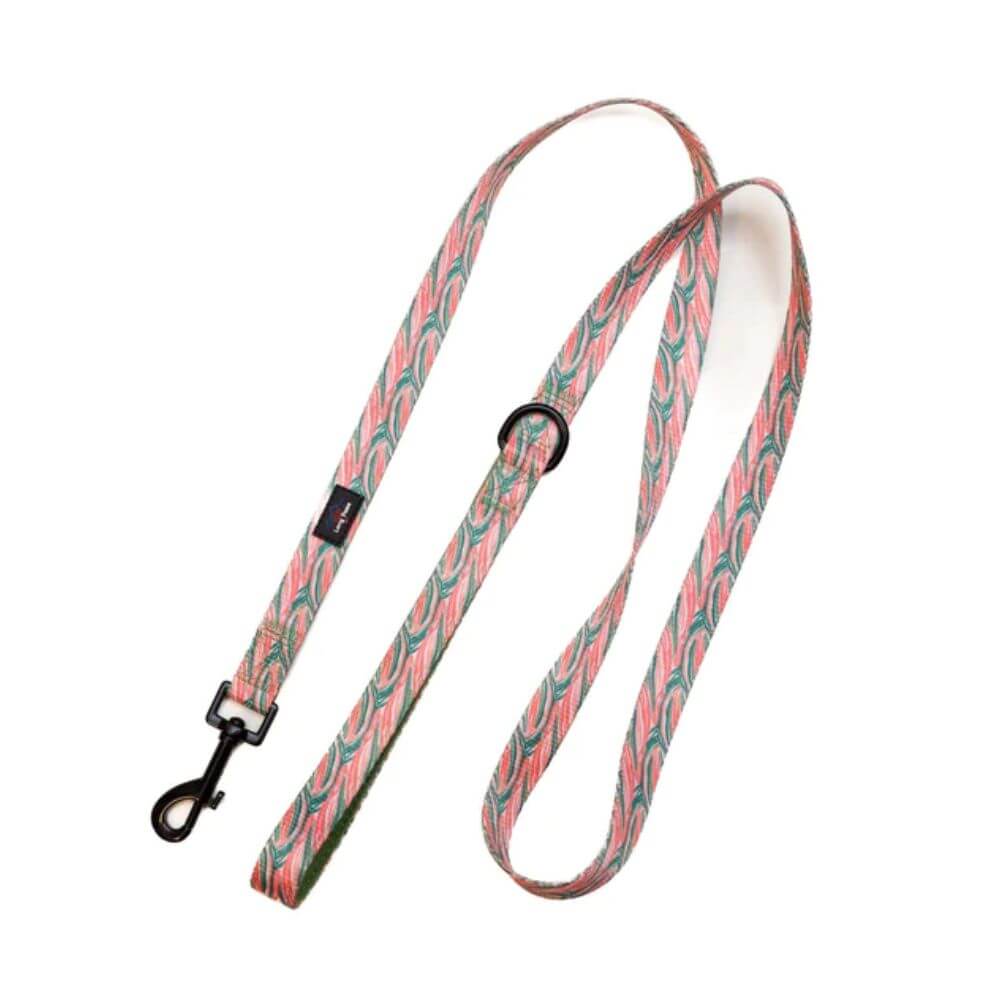 Long Paws Funk The Dog Lead in Pink Green Zebra - Image 2