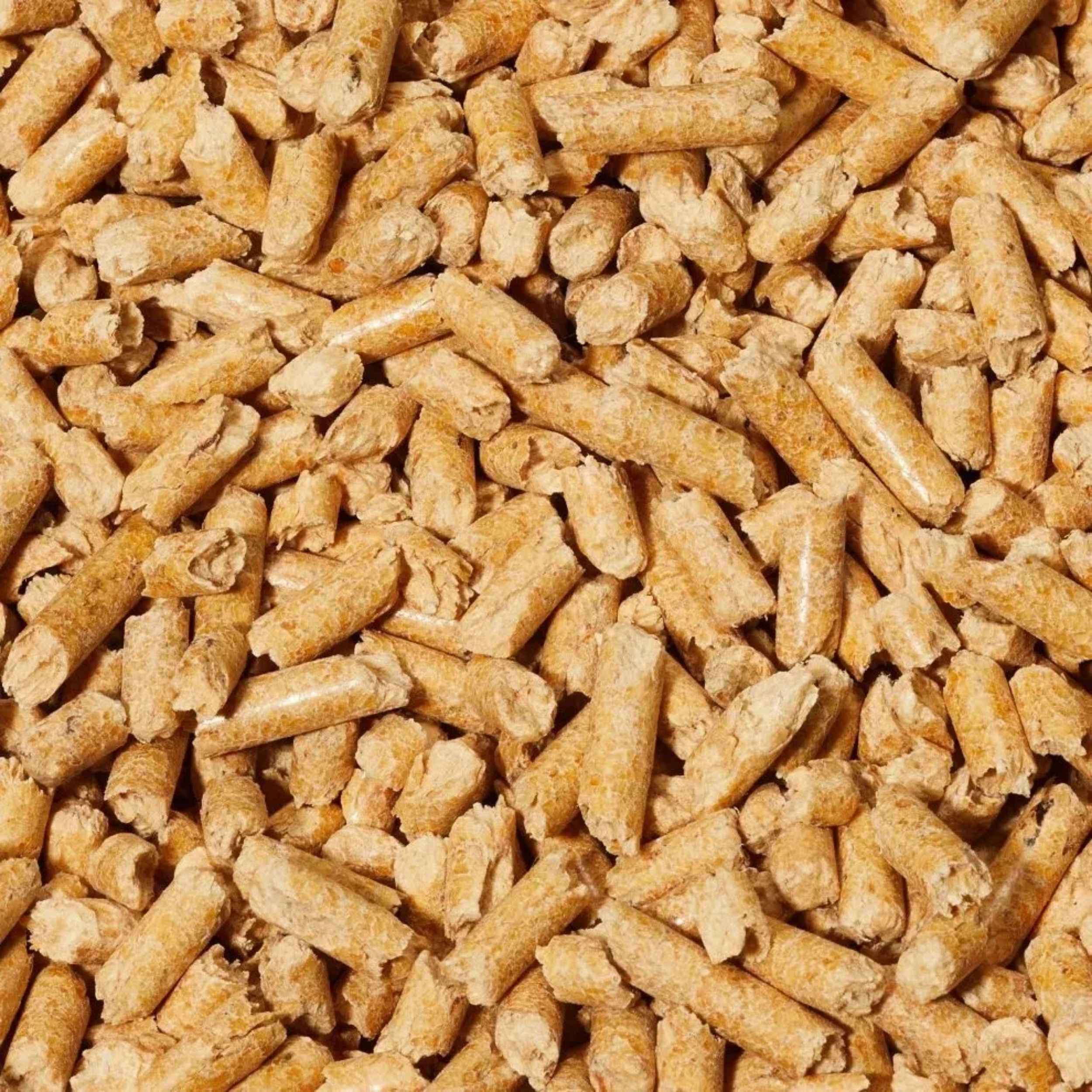 Pampuss Woodbase Cat Litter 30L - Image 2