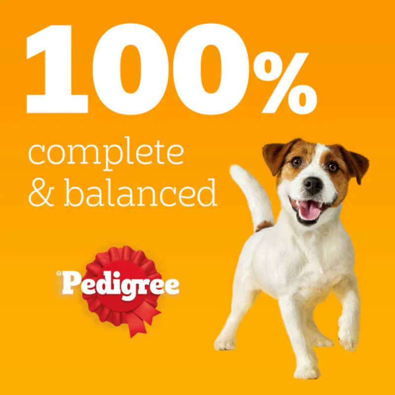 Pedigree Adult Mixed Selection in Jelly Dog Food 100g x 40 - Image 3