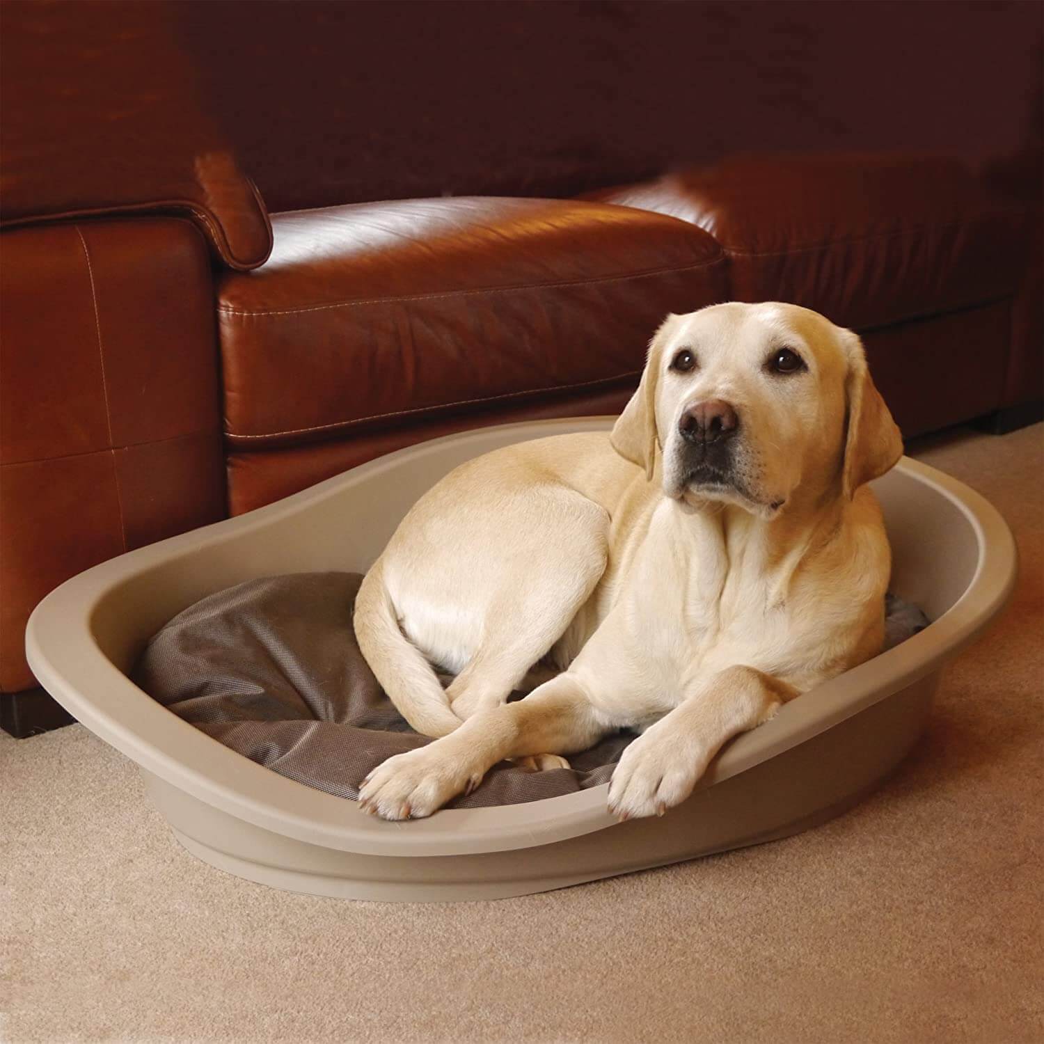 Rosewood Sonny Plastic Dog Bed - Image 5