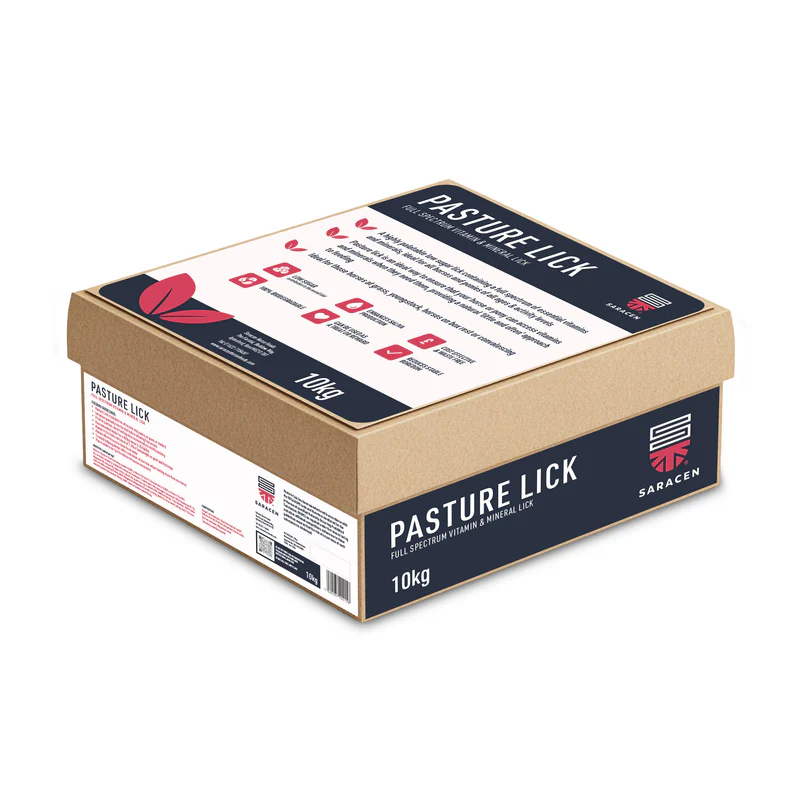 Saracen Pasture-Lick Horse Lick 10kg
