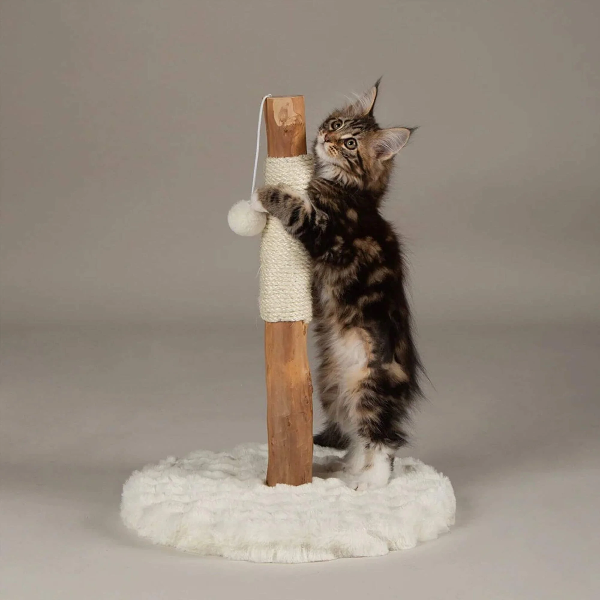 Scruffs Alpine Andes 'My First' Cat Scratching Post