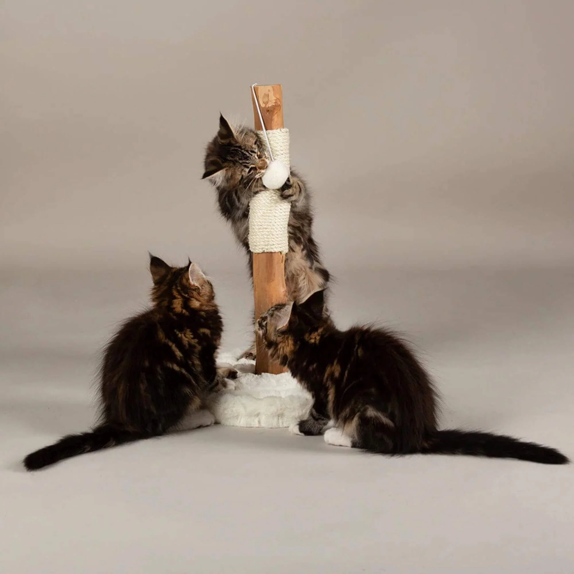 Scruffs Alpine Andes 'My First' Cat Scratching Post - Image 3