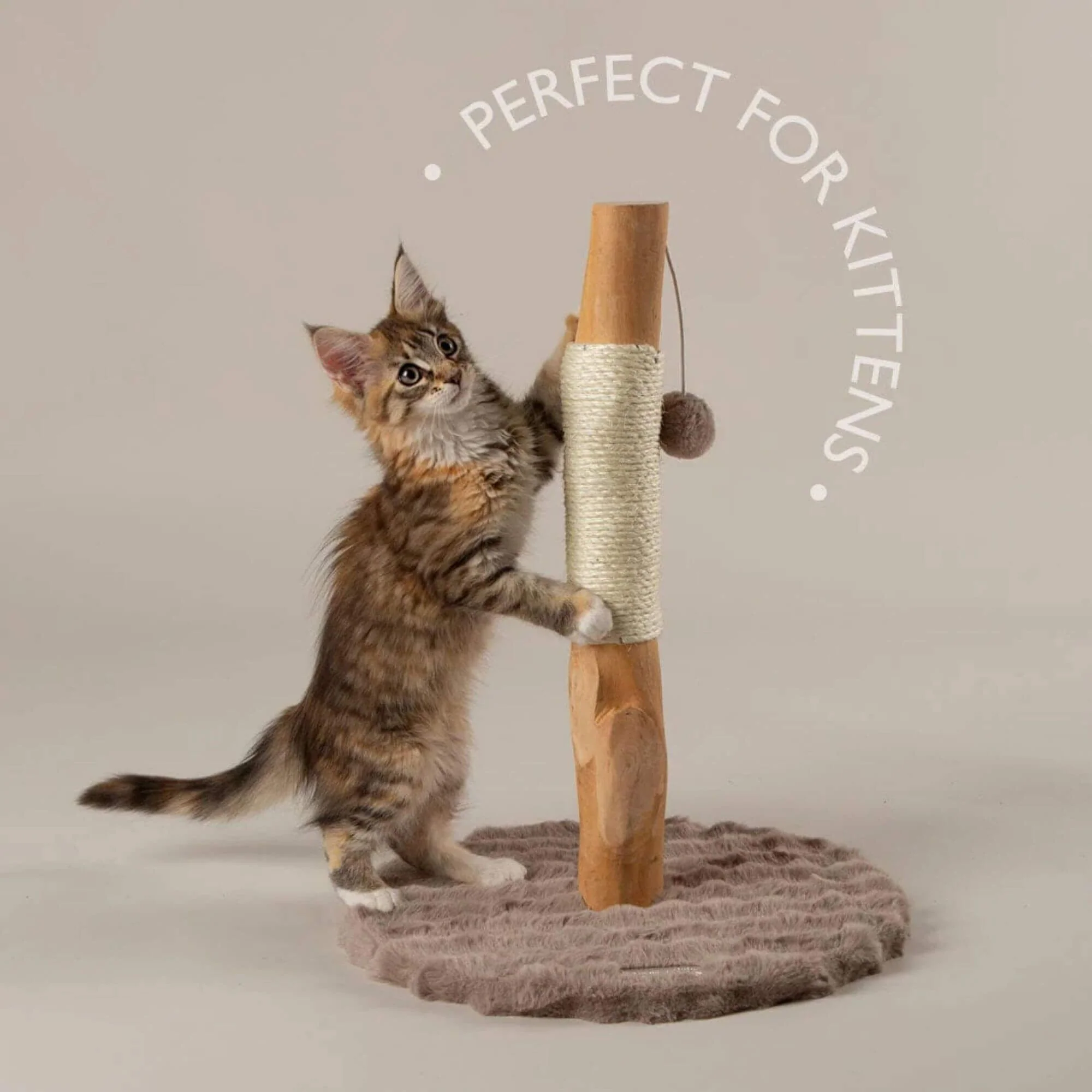 Scruffs Alpine Andes 'My First' Cat Scratching Post - Image 5