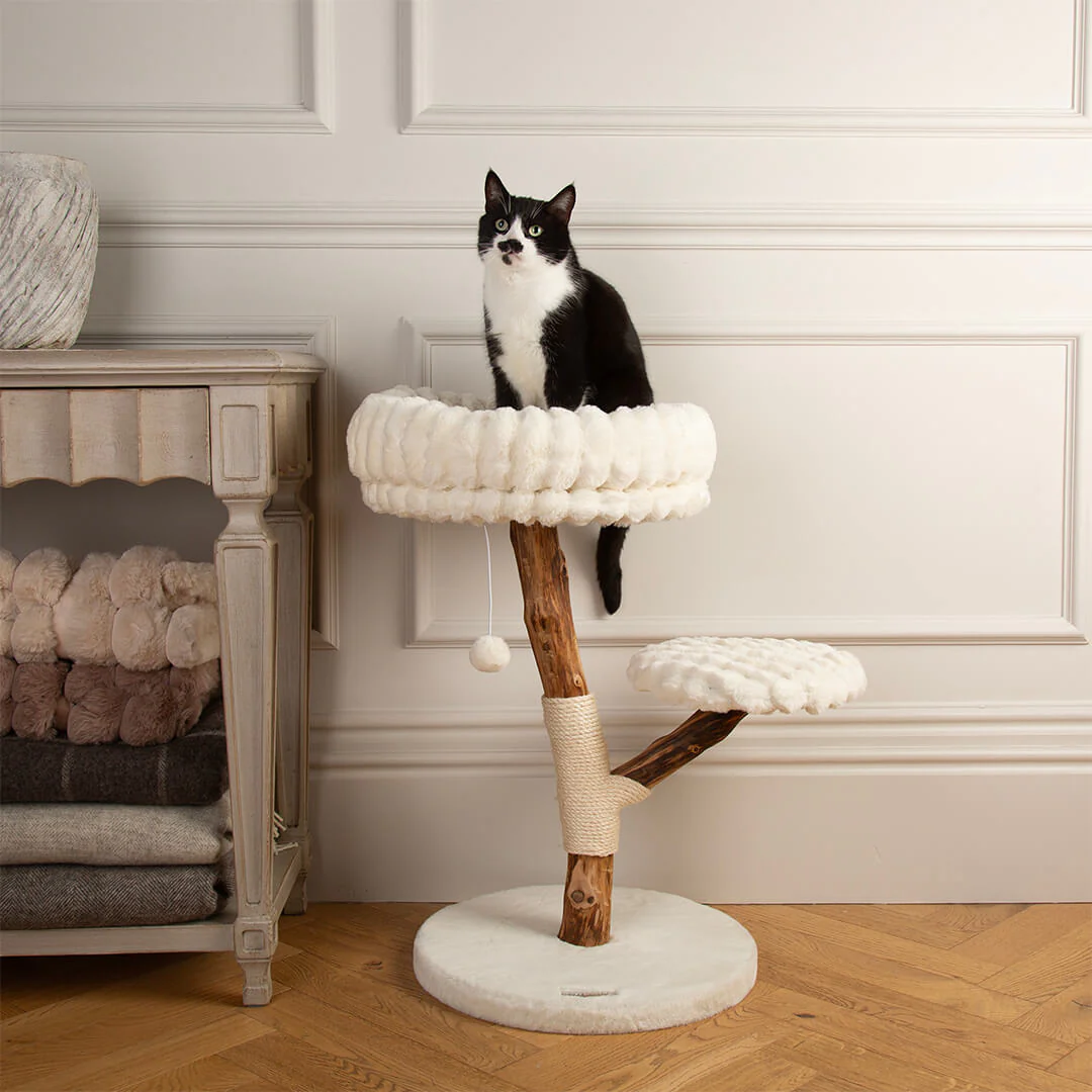 Scruffs Alpine Atlas Cat Tree