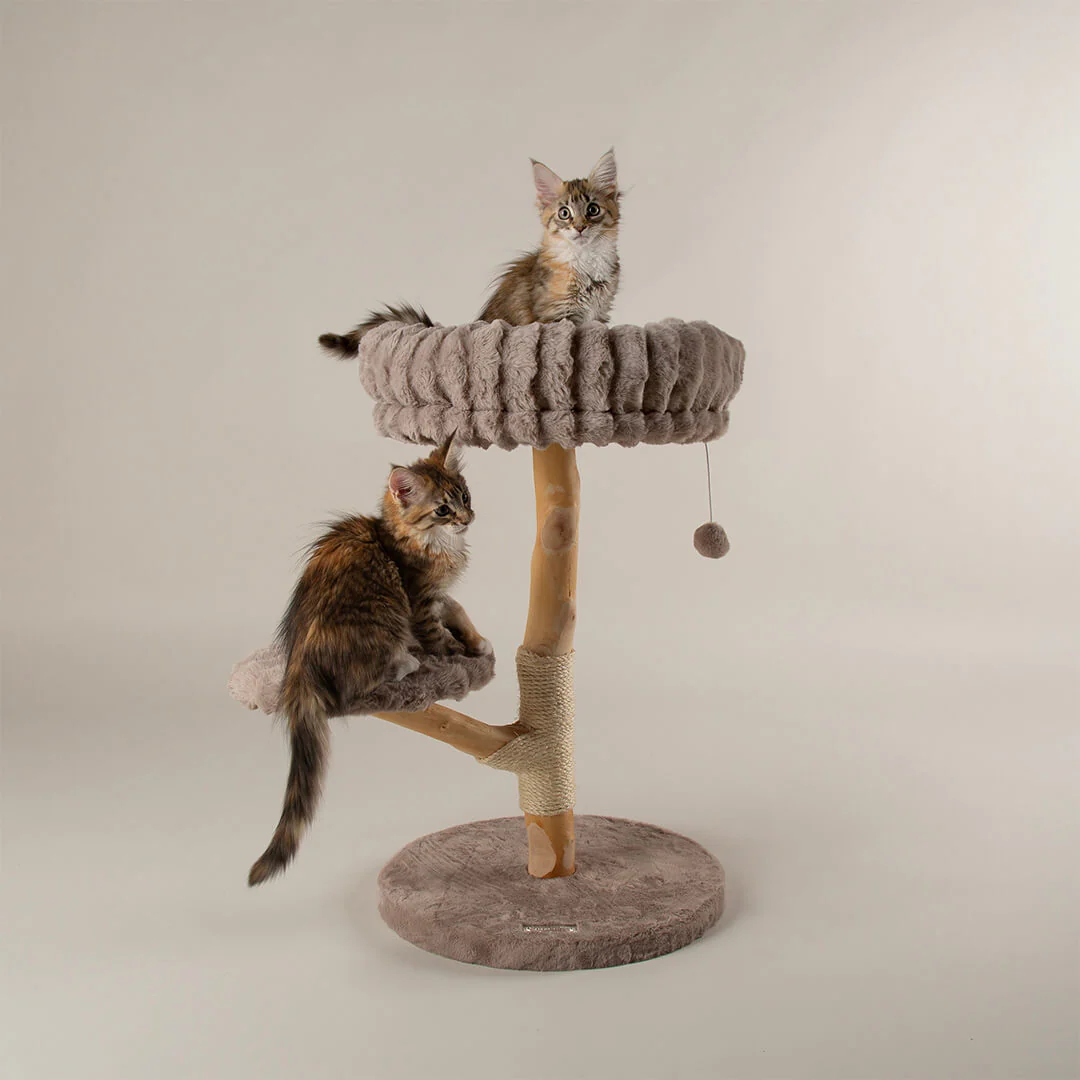 Scruffs Alpine Atlas Cat Tree - Image 2