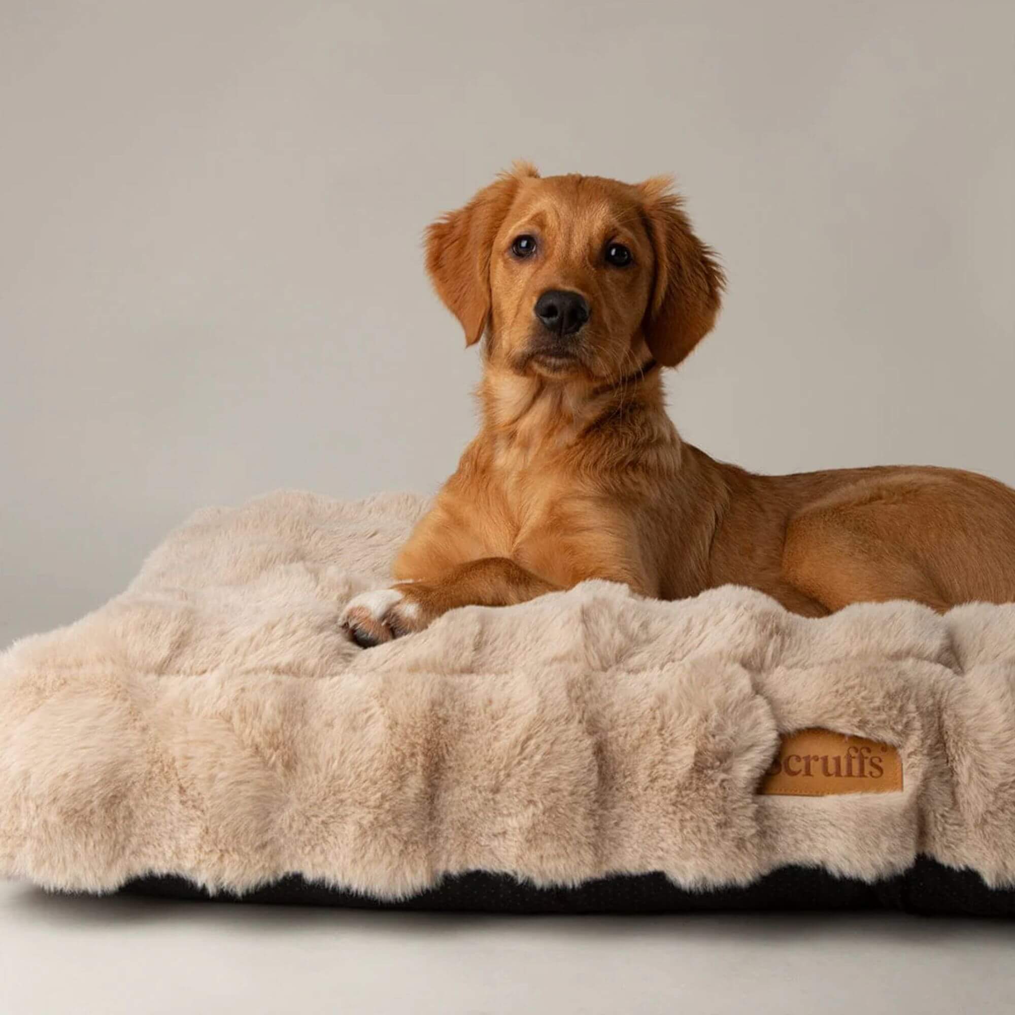 Scruffs Alpine Faux Fur Mattress for Dogs - Image 7