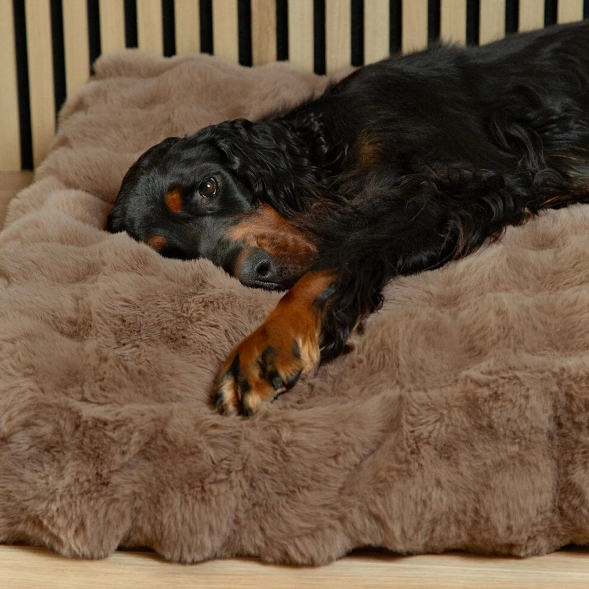Scruffs Alpine Faux Fur Mattress for Dogs - Image 8