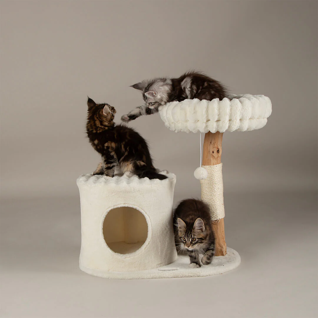 Scruffs Alpine Himalayas Cat Tree