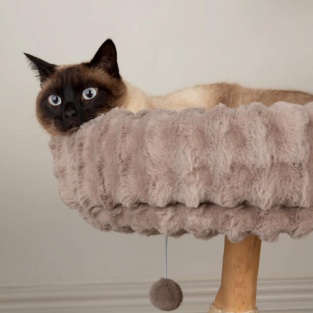 Scruffs Alpine Himalayas Cat Tree - Image 7