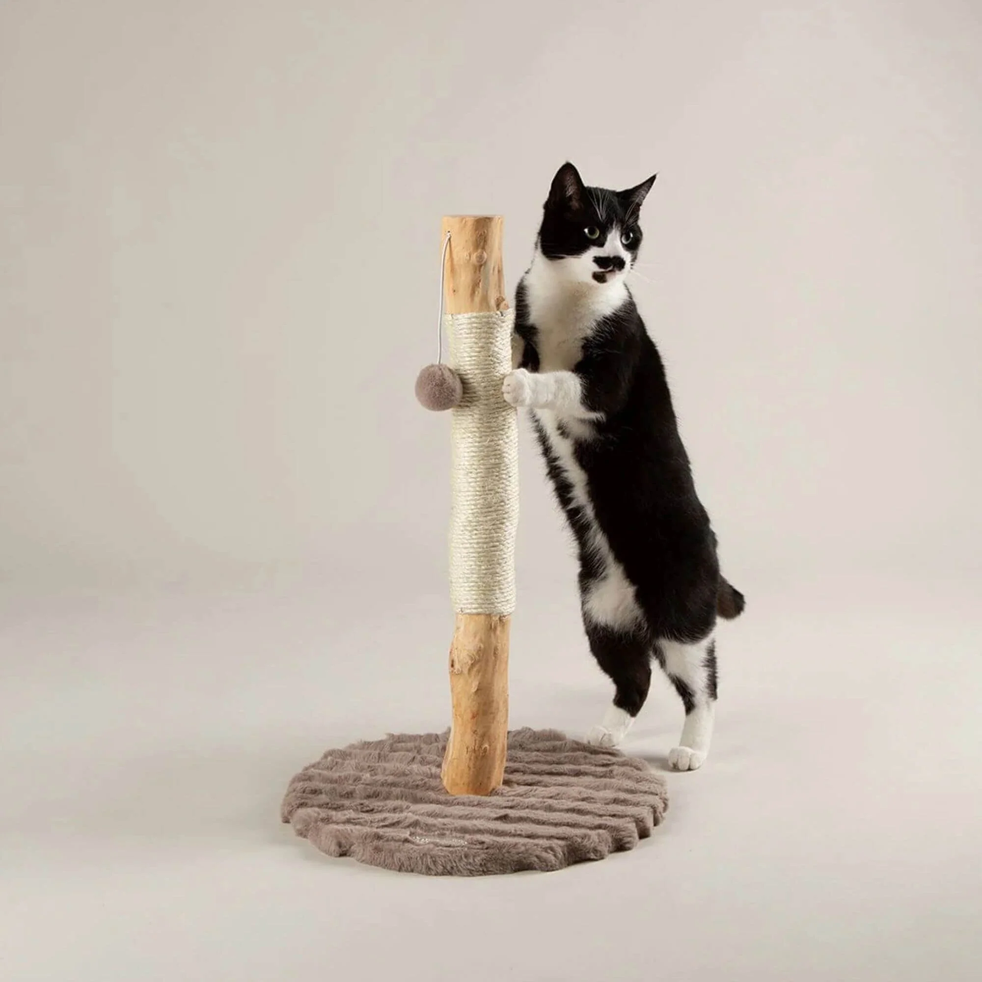 Scruffs Alpine Rockies Cat Scratching Post
