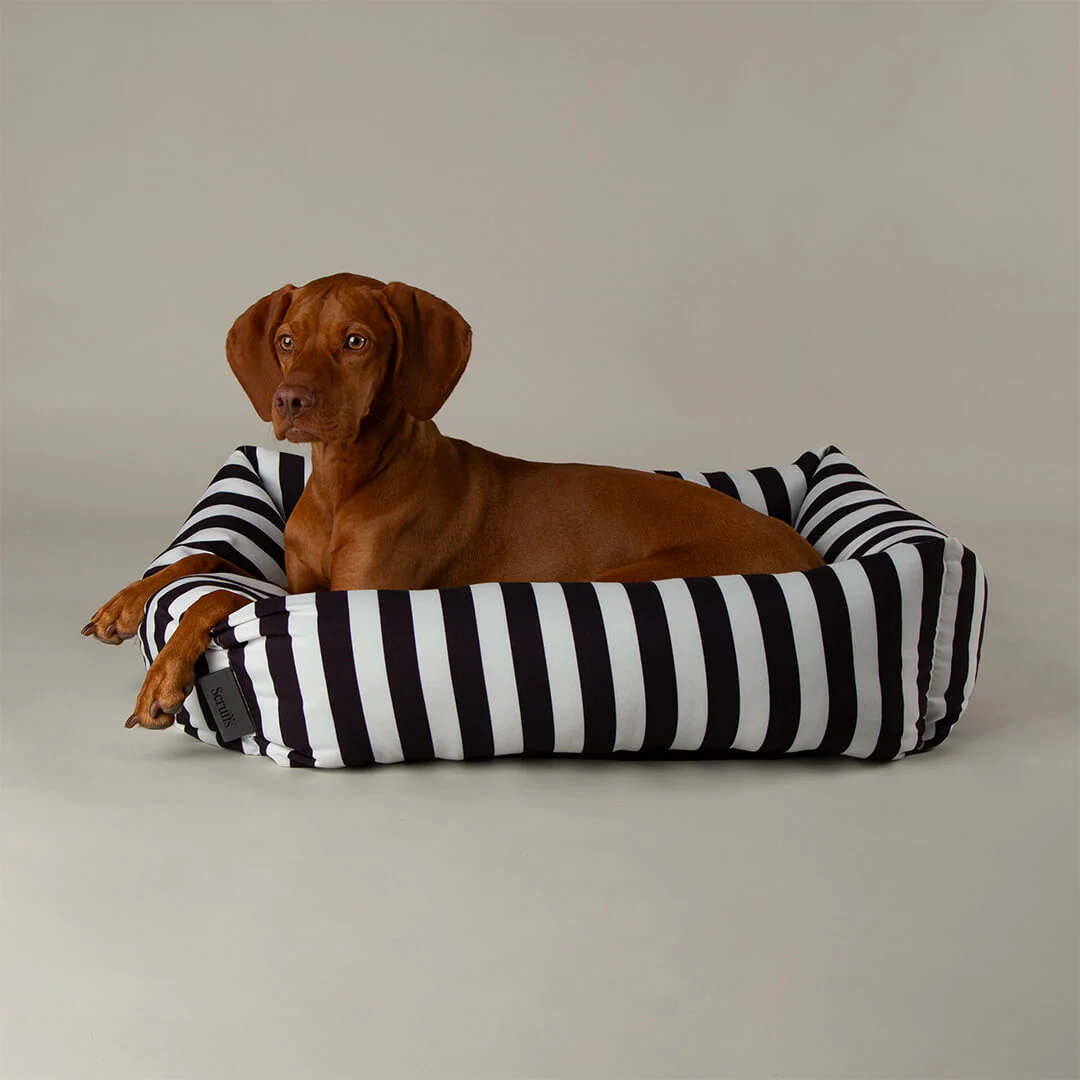 Scruffs Amalfi Striped Box Dog Bed in Black