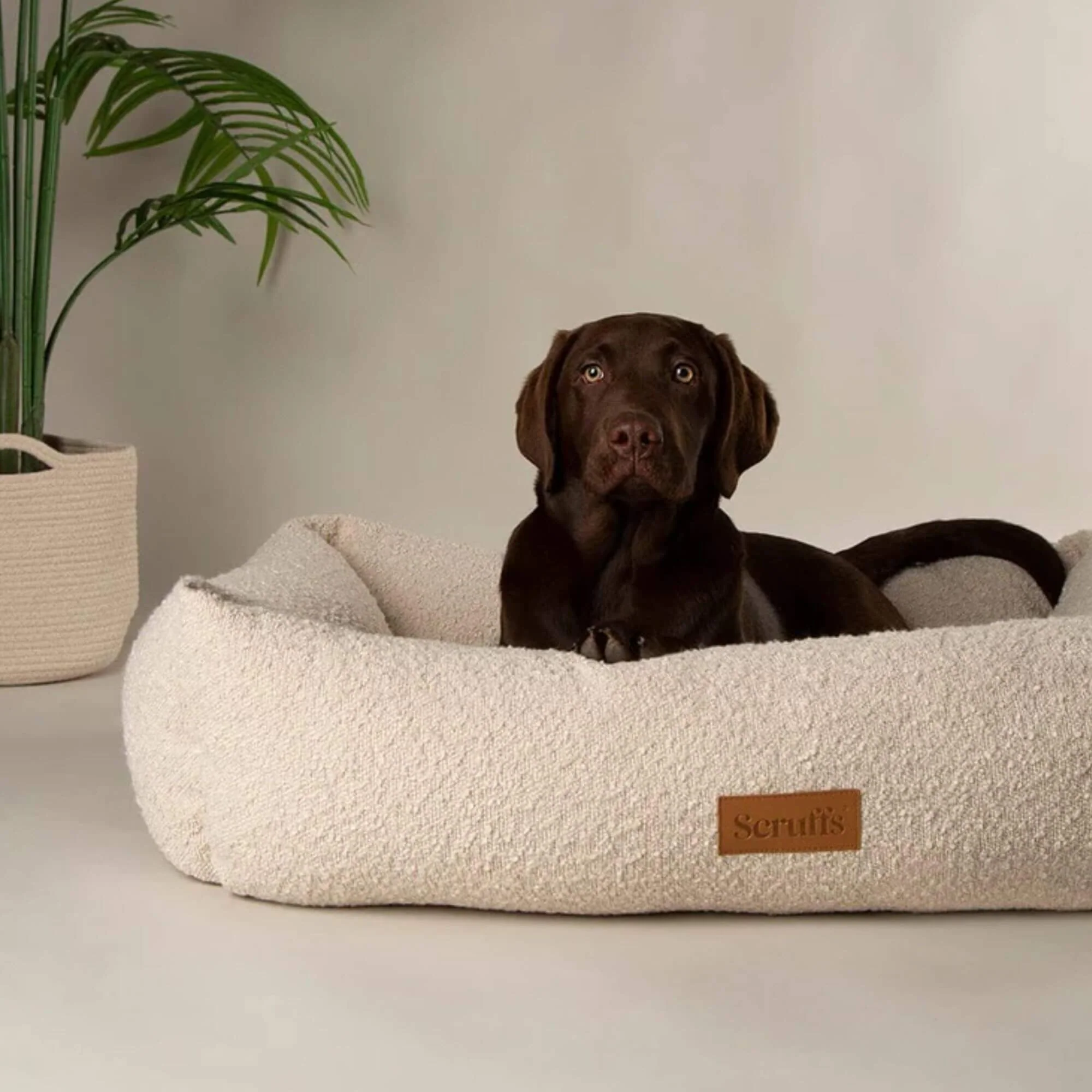 Scruffs Boucle Box Dog Bed - Image 5