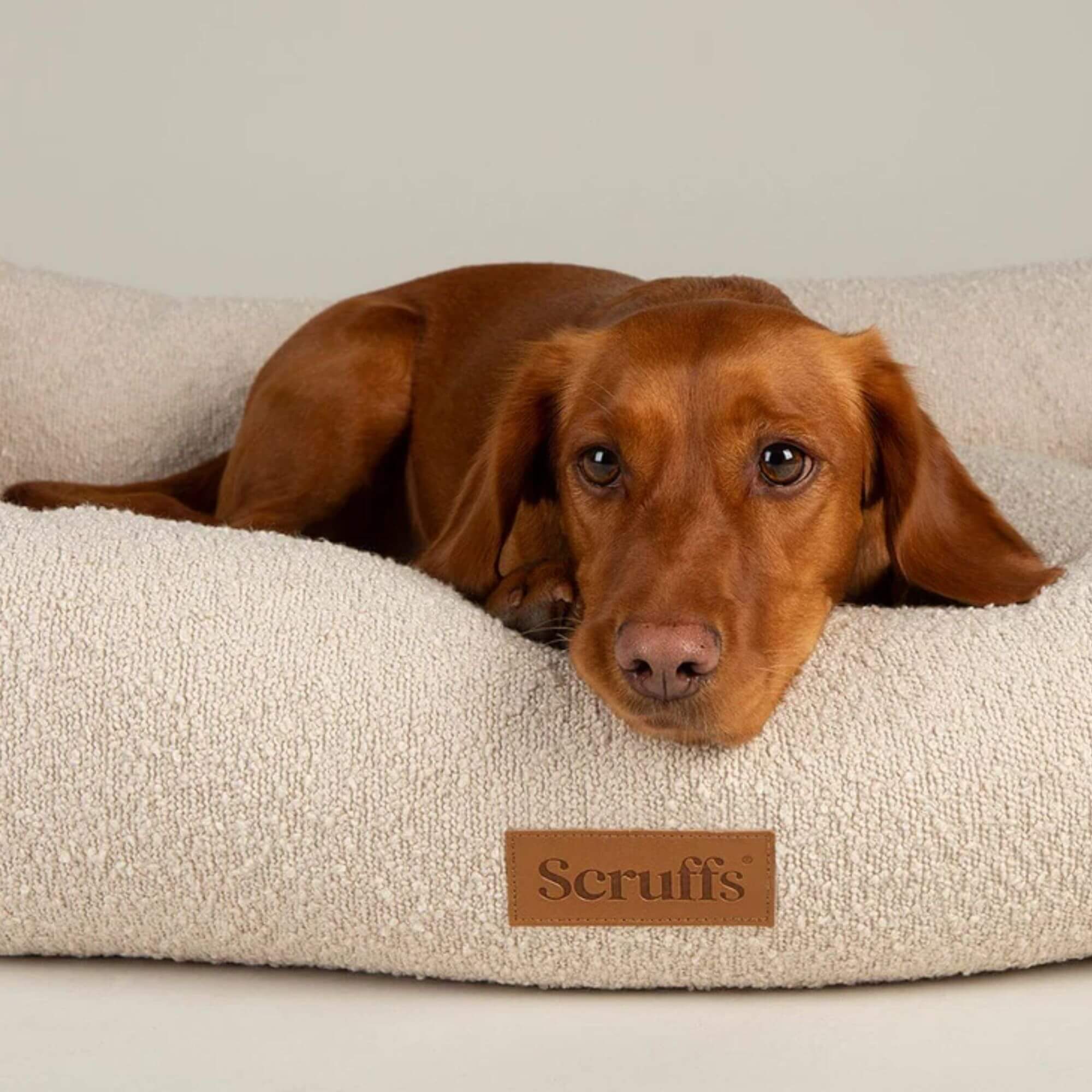 Scruffs Boucle Box Dog Bed - Image 6