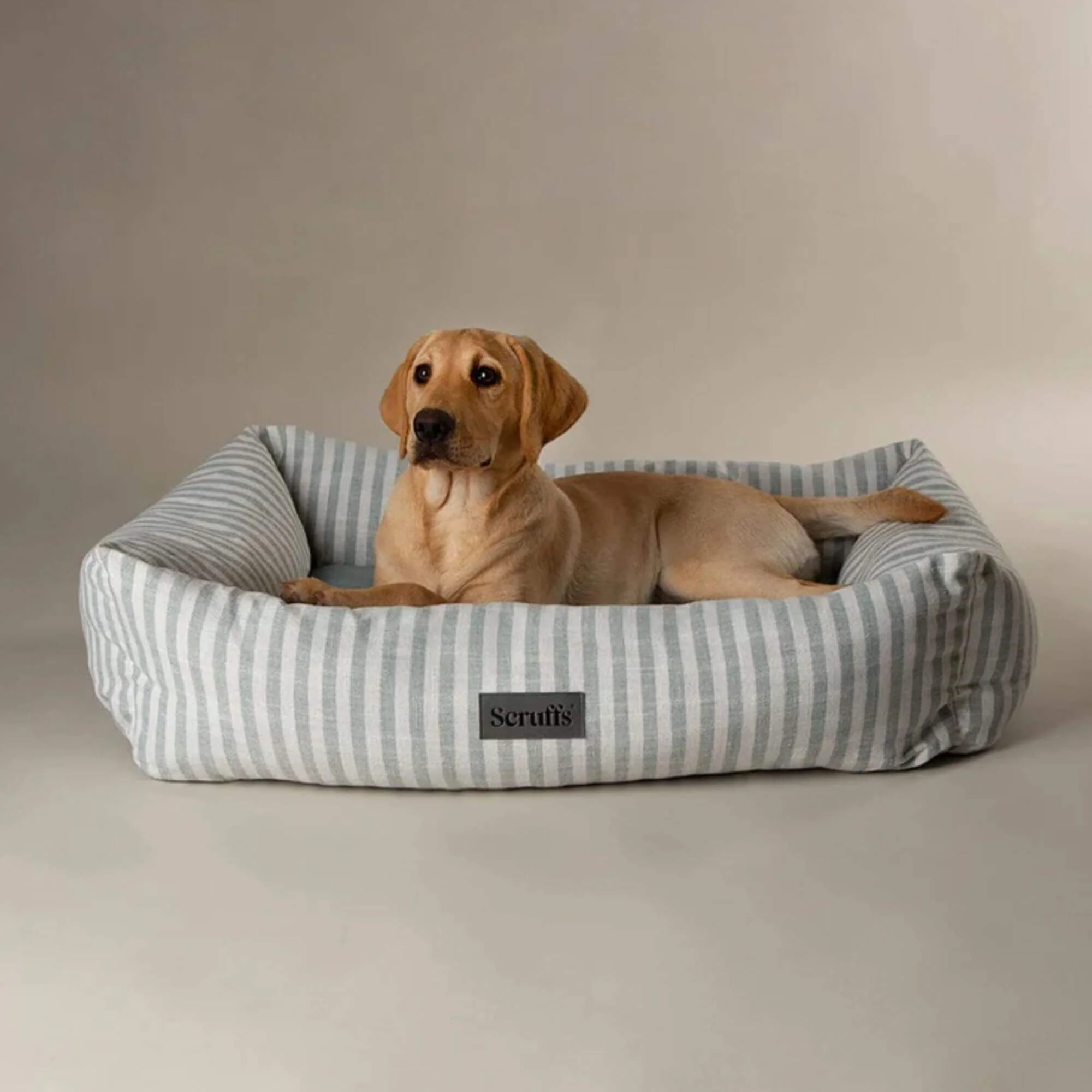 Scruffs Coastal Box Dog Bed