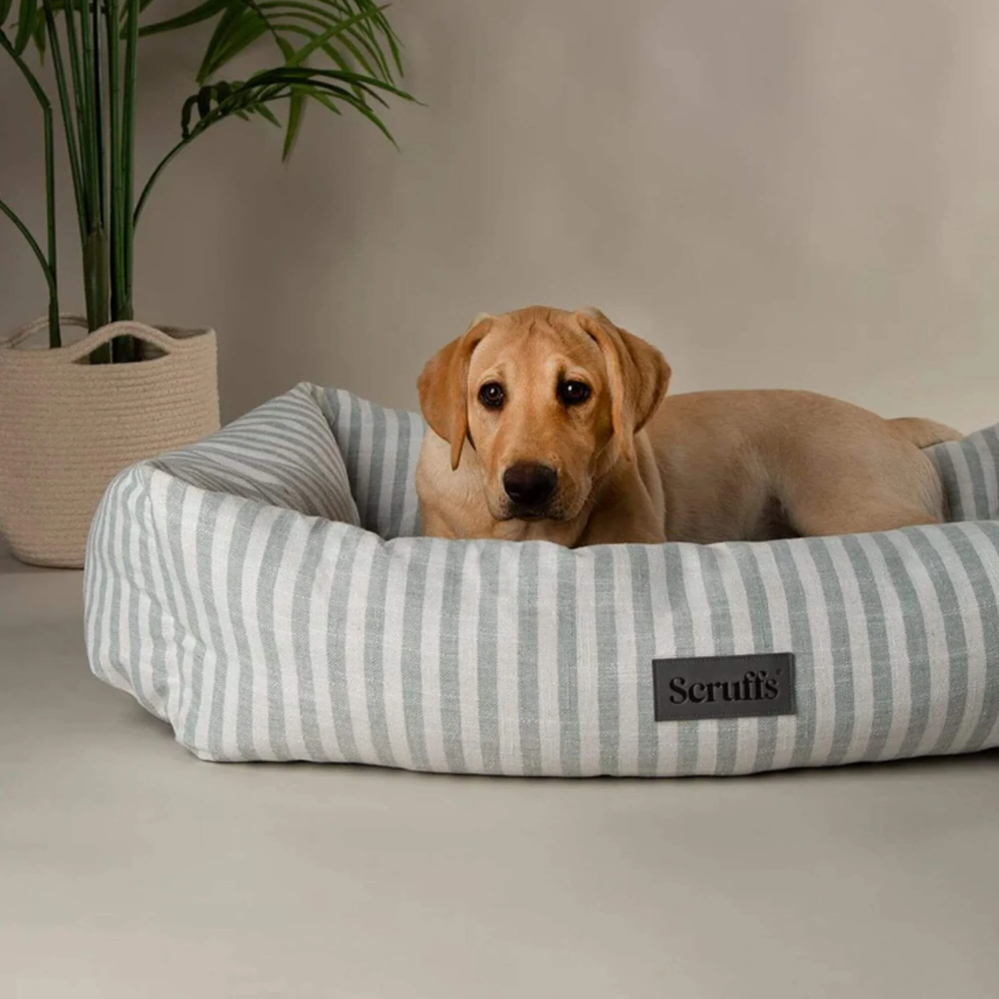 Scruffs Coastal Box Dog Bed - Image 5