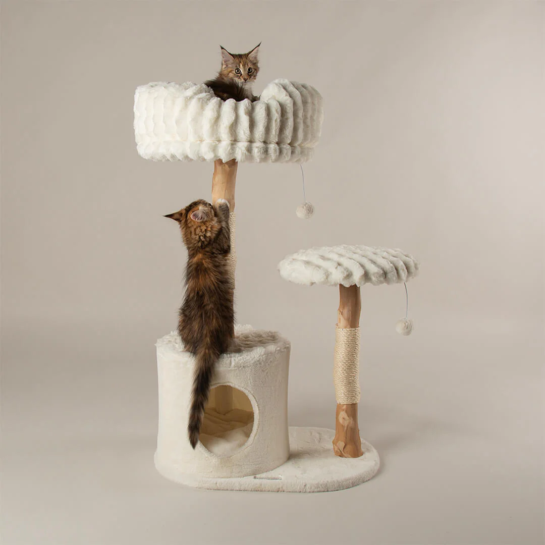 Scruffs Alpine Colorado Cat Tree