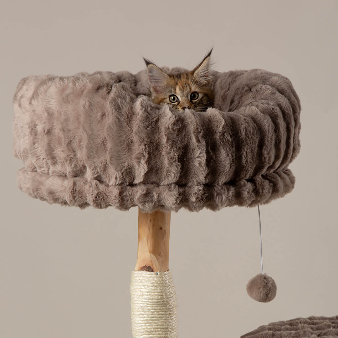 Scruffs Alpine Colorado Cat Tree - Image 3