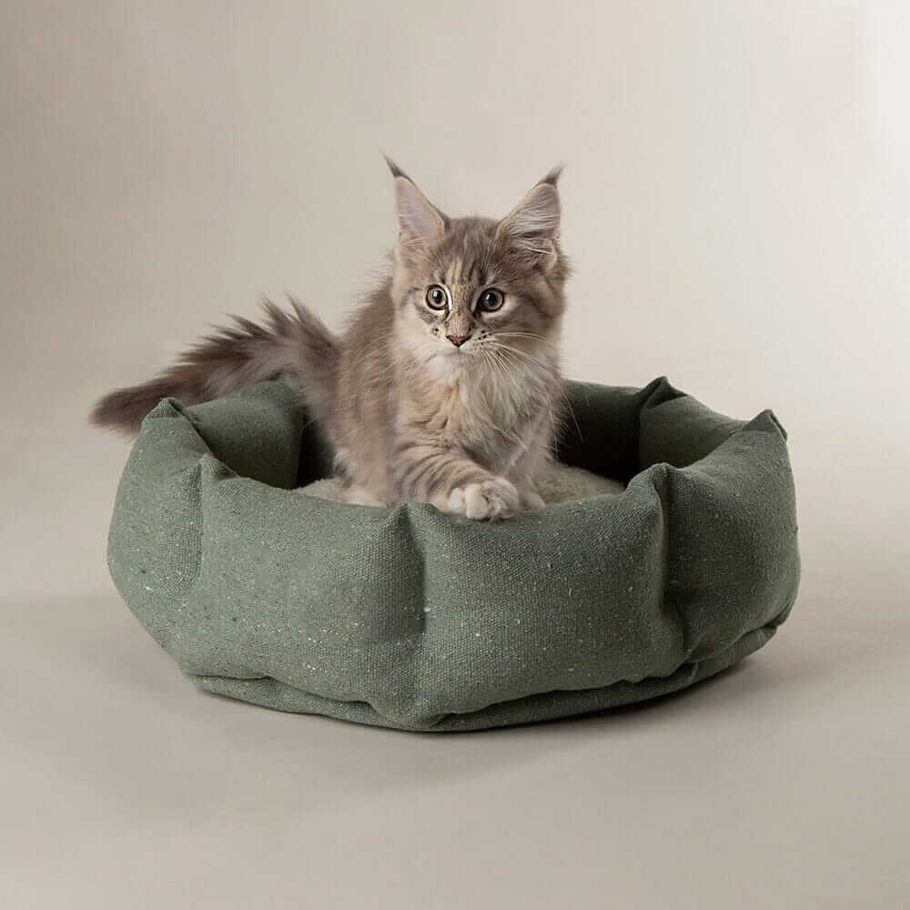 Scruffs Eden Cat Bed - Image 6