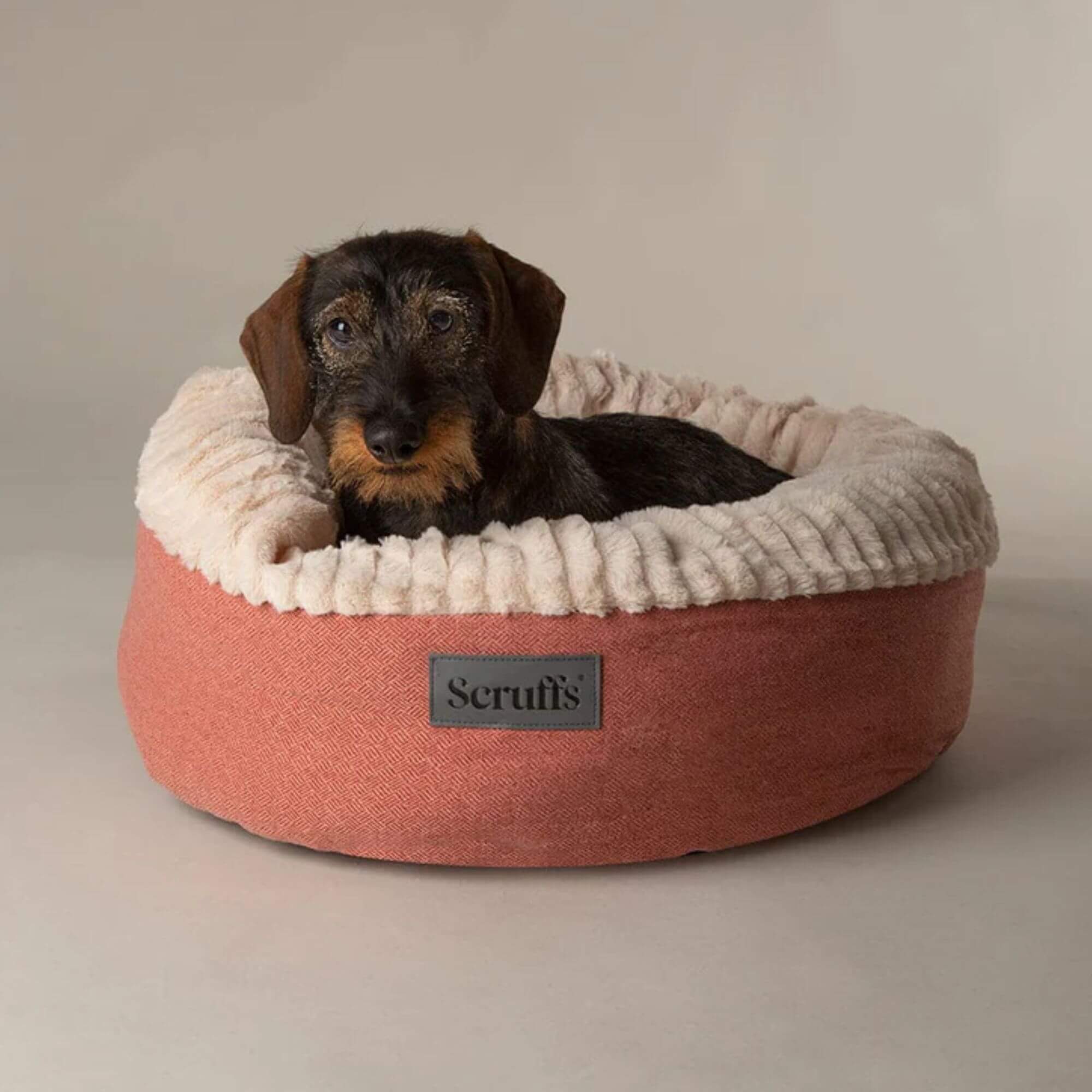 Scruffs Ellen Donut Pet Bed - Image 8