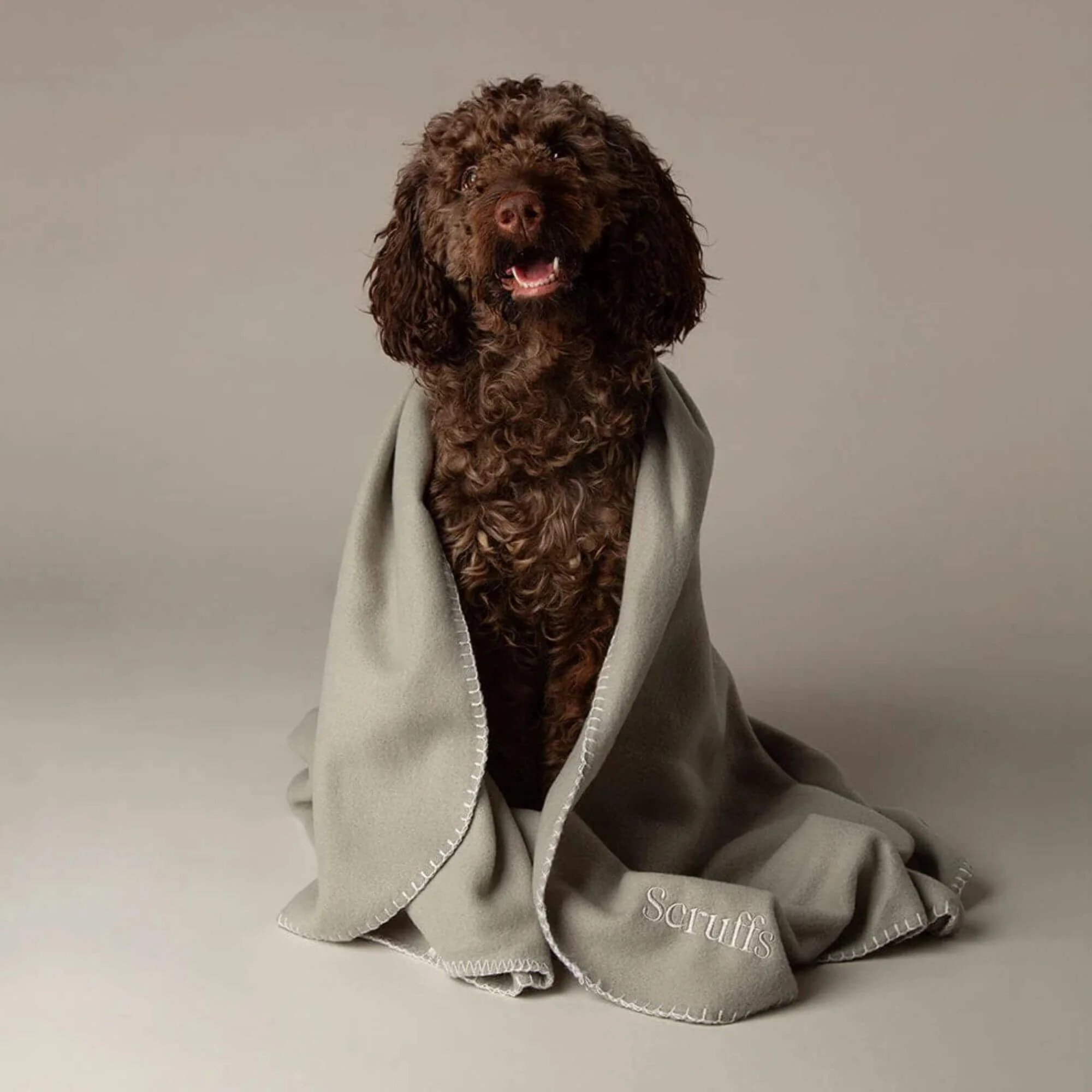 Scruffs Expedition Fleece Pet Blanket - Image 4