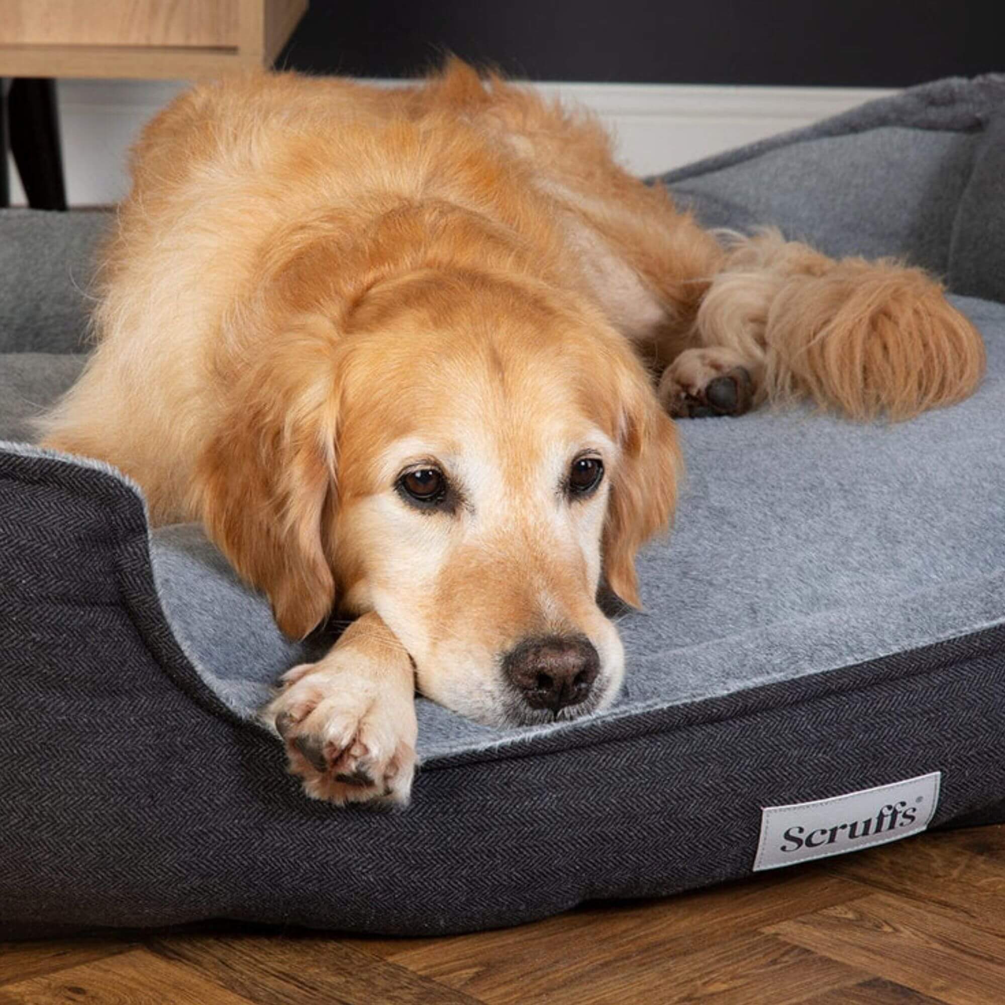 Scruffs Harvard Memory Foam Dog Box Bed - Image 4
