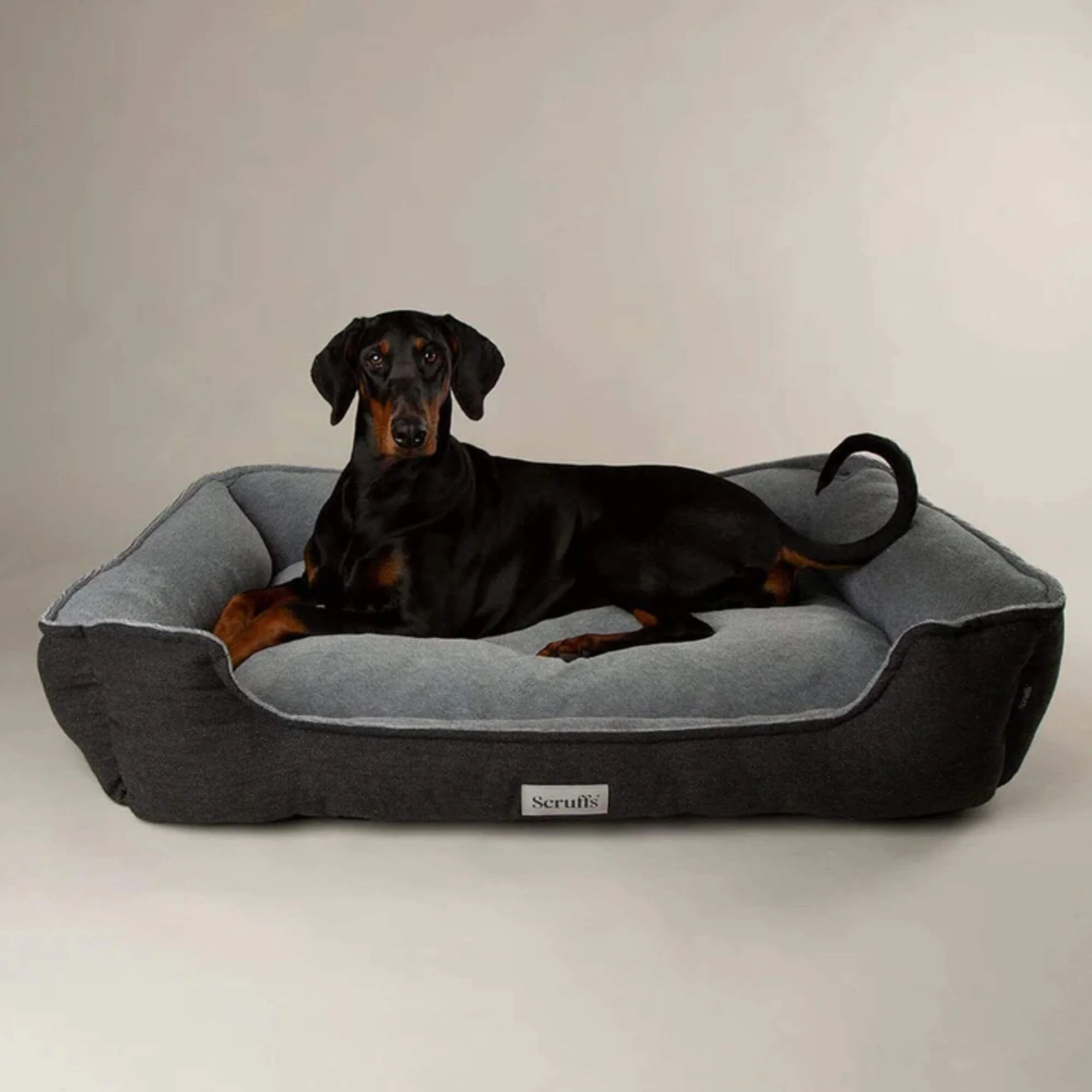 Scruffs Harvard Memory Foam Dog Box Bed - Image 8