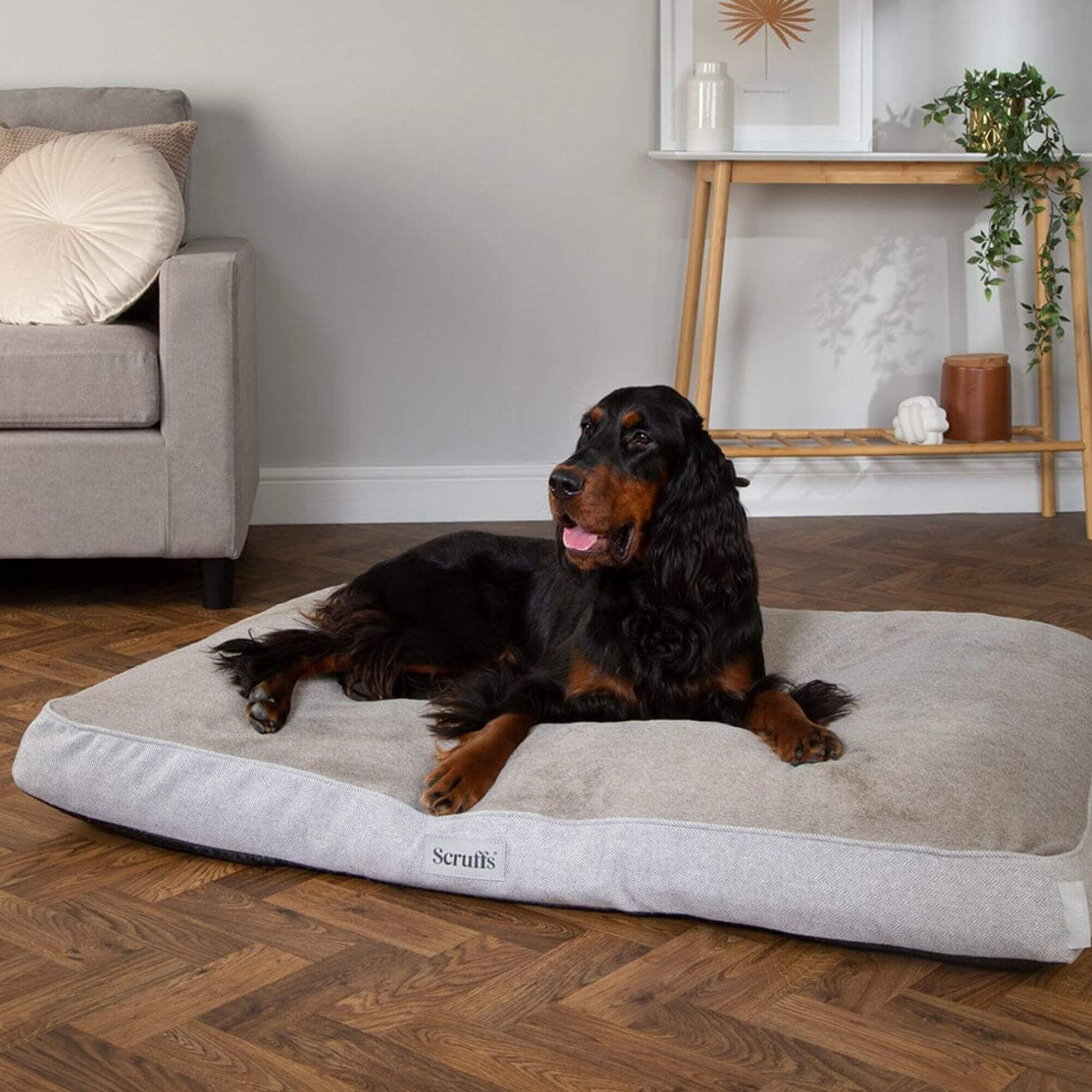 Scruffs Harvard Memory Foam Mattress - Image 5