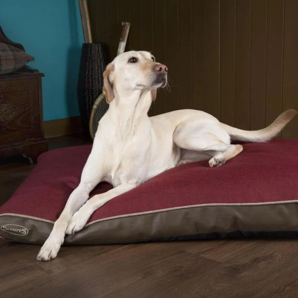 Scruffs Hilton Orthopaedic Memory Foam Dog Mattress - Image 6