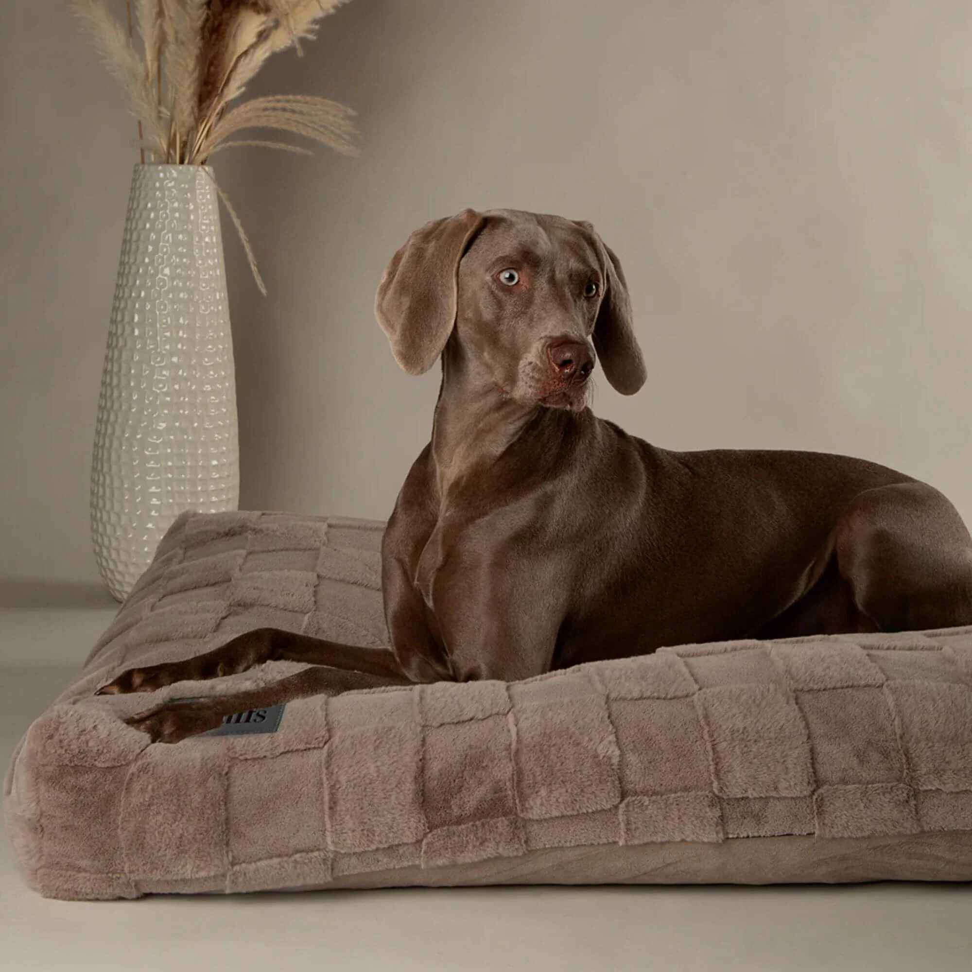 Scruffs Oxford Orthopaedic Mattress Dog Bed - Image 6