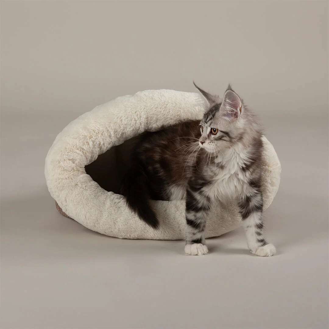 Scruffs Seattle Crinkle Cat Sleeping Bag - Sienna Brown - Image 2