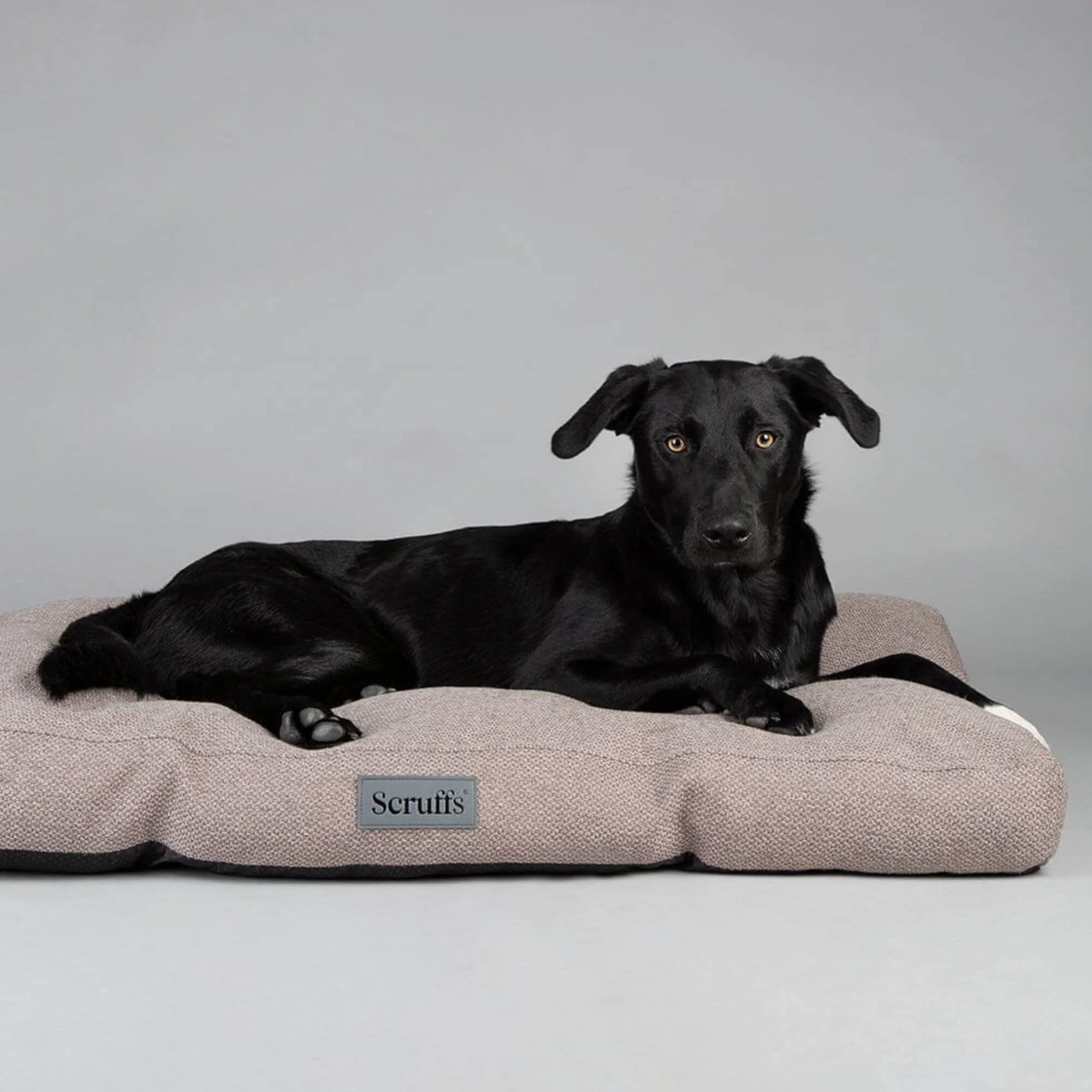 Scruffs Seattle Mattress Dog Bed - Image 5