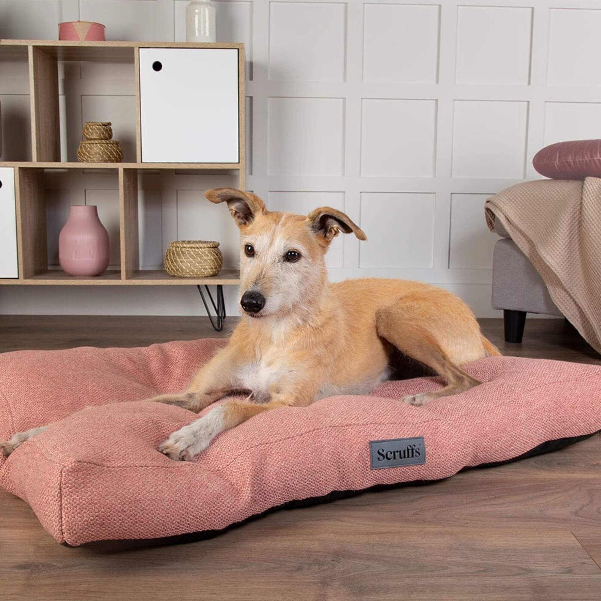 Scruffs Seattle Mattress Dog Bed - Image 8