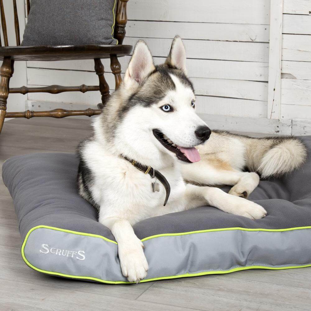 Scruffs Slimline Eco Mattress Dog Bed - Image 5