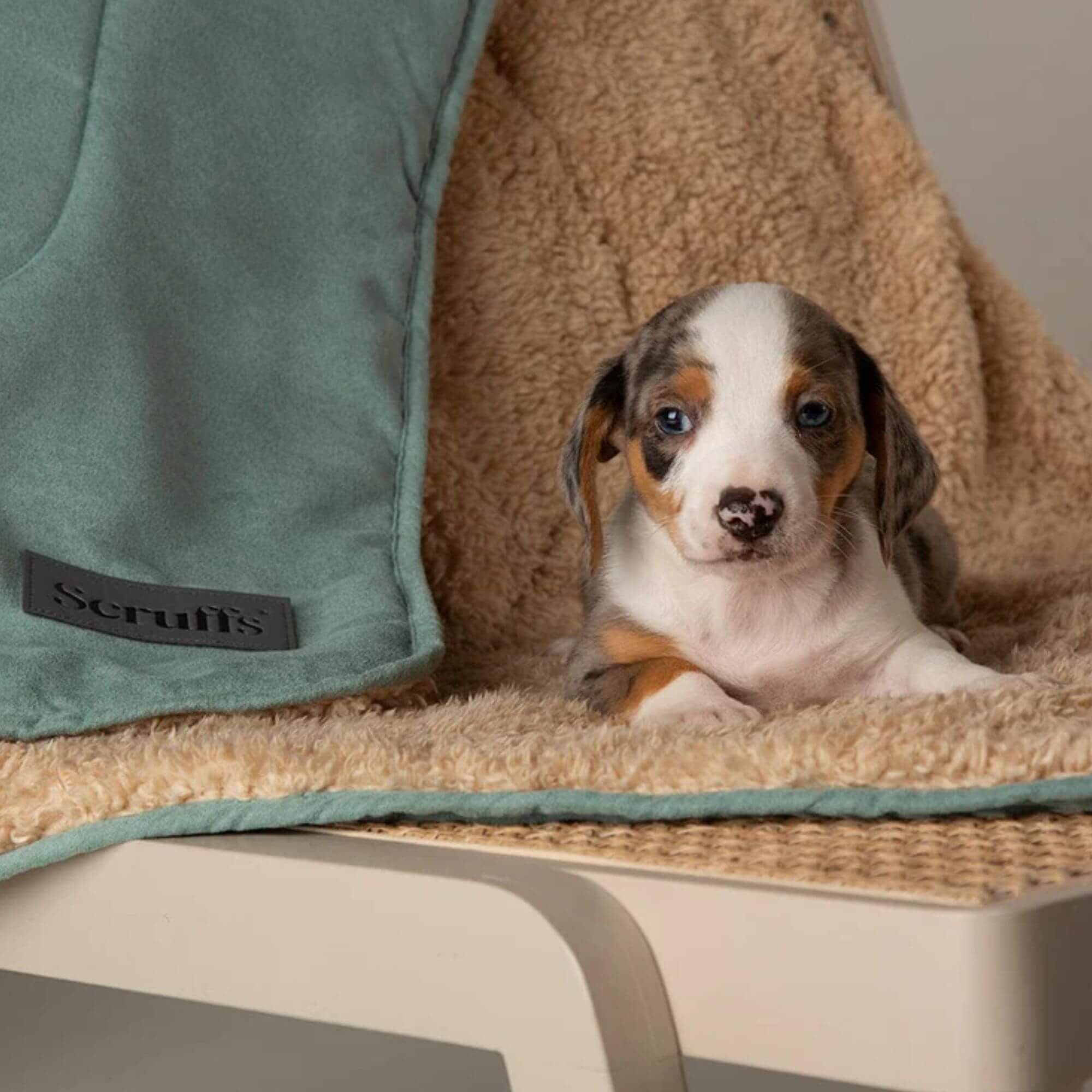Scruffs Snuggle Plush Pet Blanket - Image 2