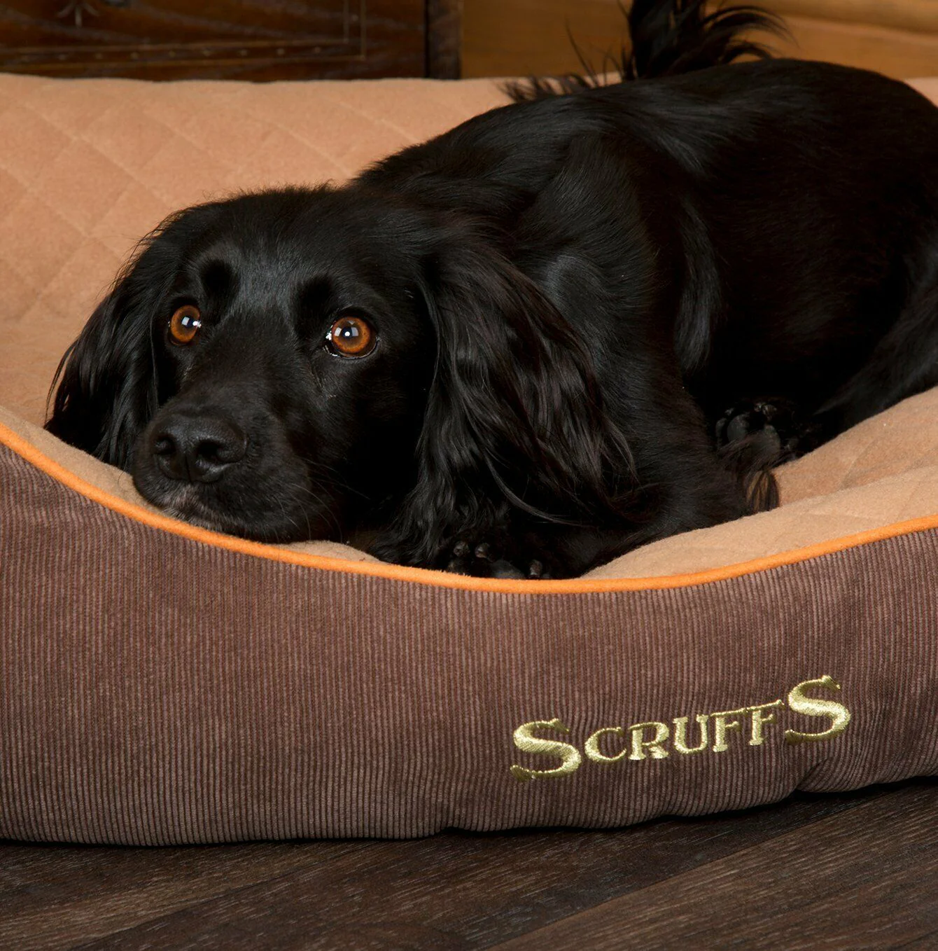 Scruffs Thermal Self Heating Box Bed - Image 7