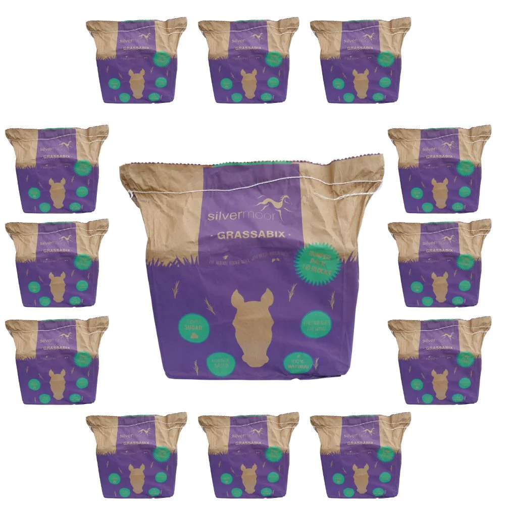 Silvermoor Grassabix Bumper Pack 10 x 1kg - Image 2