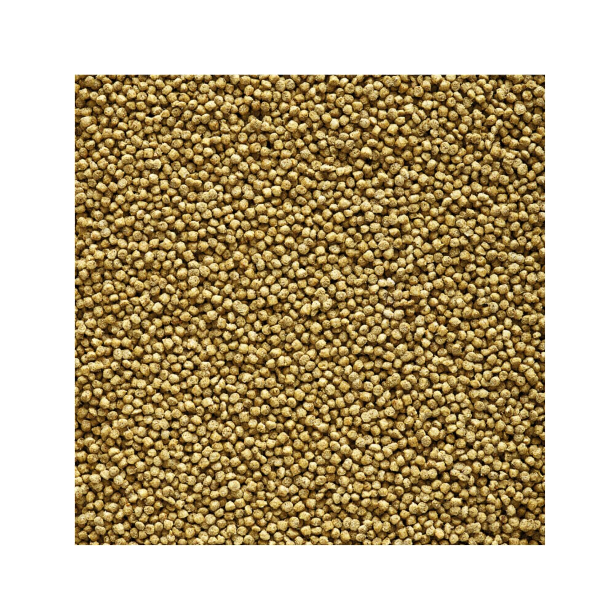 Versele-Laga NutriBird C19 Original 3kg - Image 2