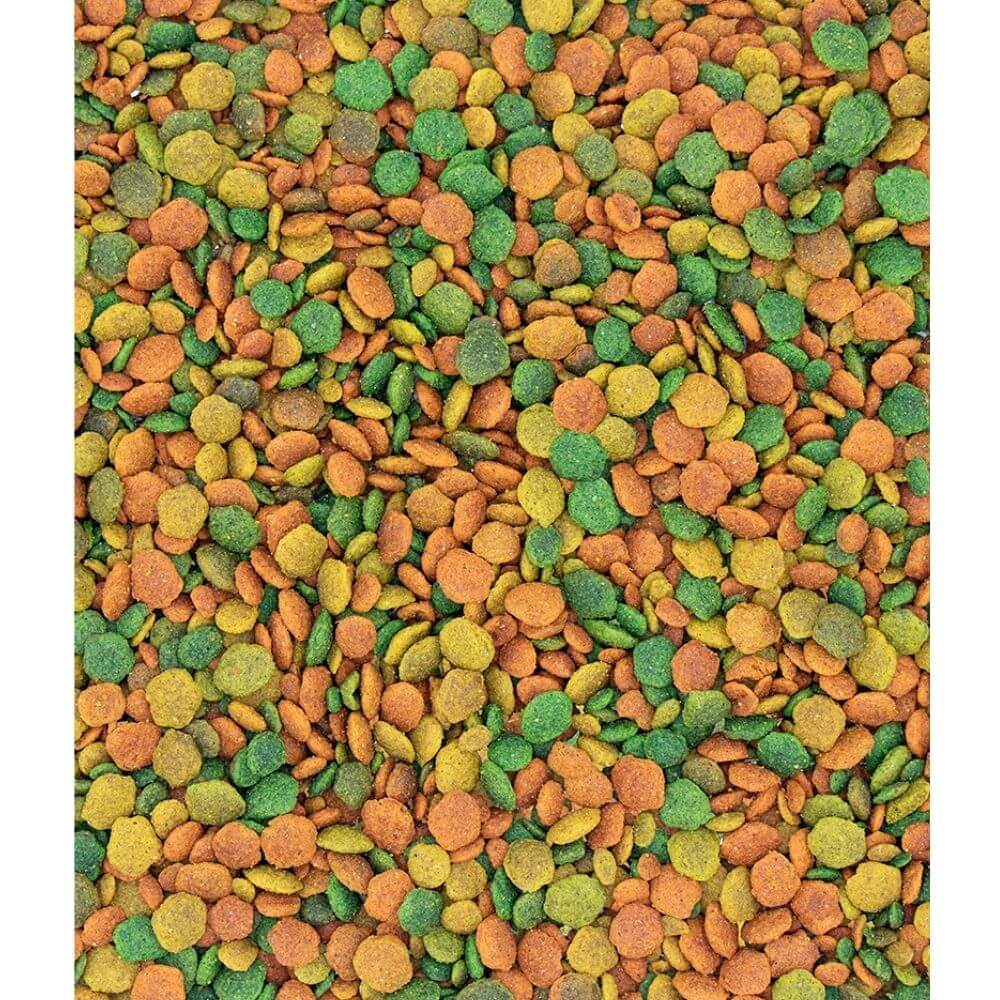 Versele-Laga Nutribird G14 Tropical Maintenance Food for Big Parakeets - Image 2