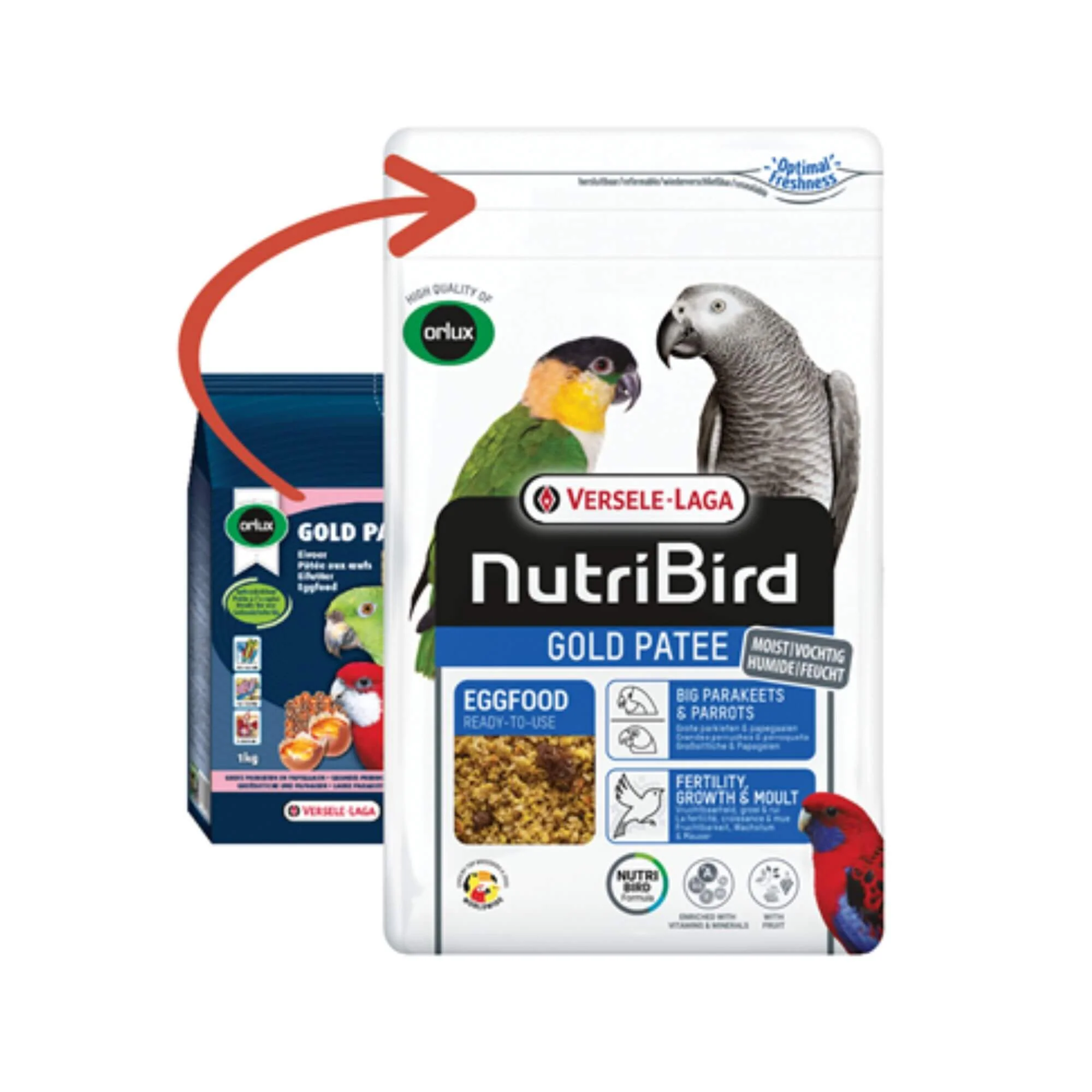 Versele-Laga NutriBird Gold Patee Big Parakeets & Parrots - Image 4