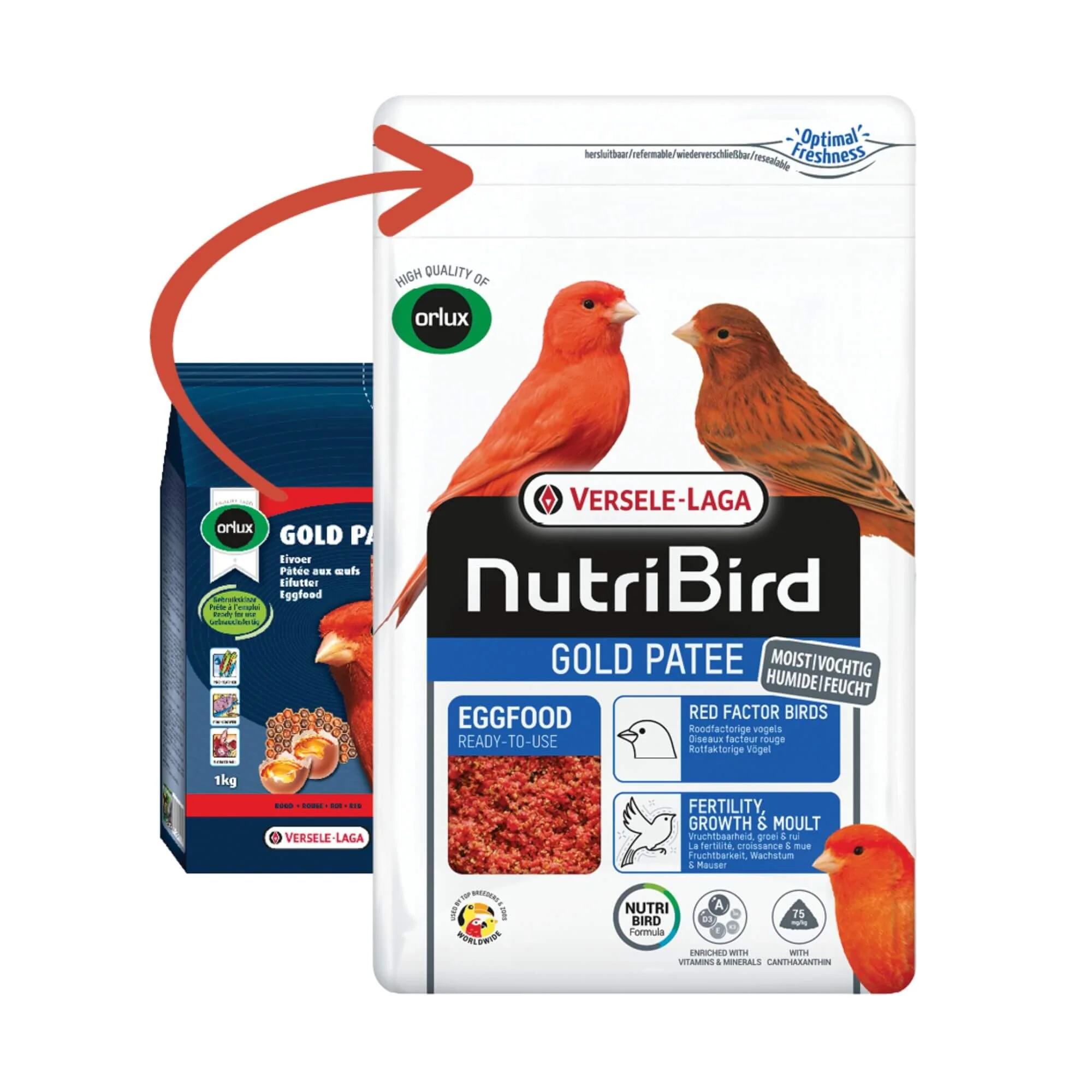 Versele-Laga NutriBird Gold Patee Red Factor Birds - Image 3