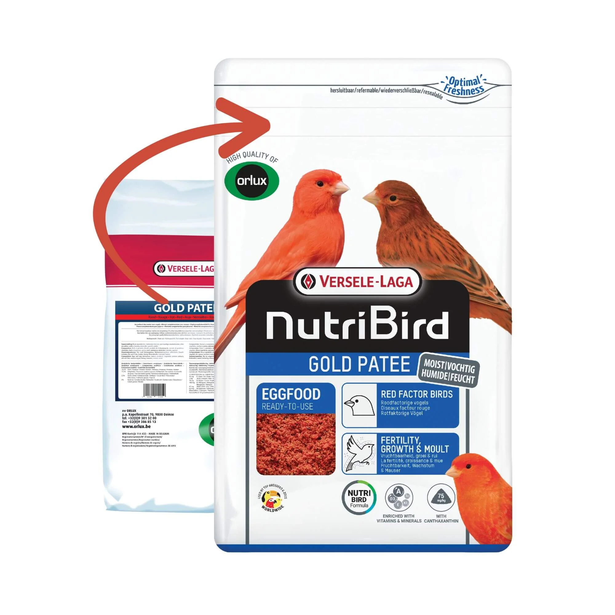 Versele-Laga NutriBird Gold Patee Red Factor Birds - Image 4
