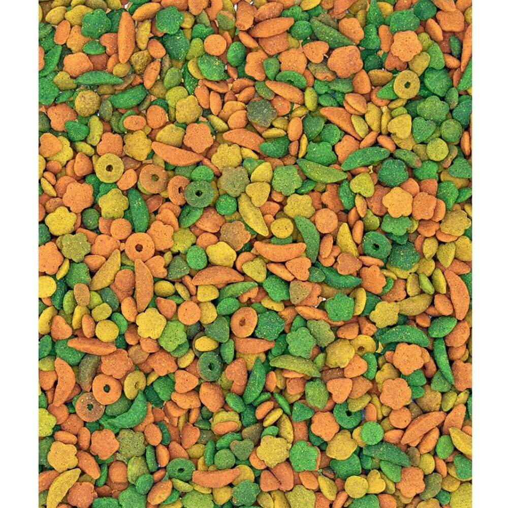 Versele-Laga NutriBird P15 Tropical Maintenance Food for Parrots - Image 2