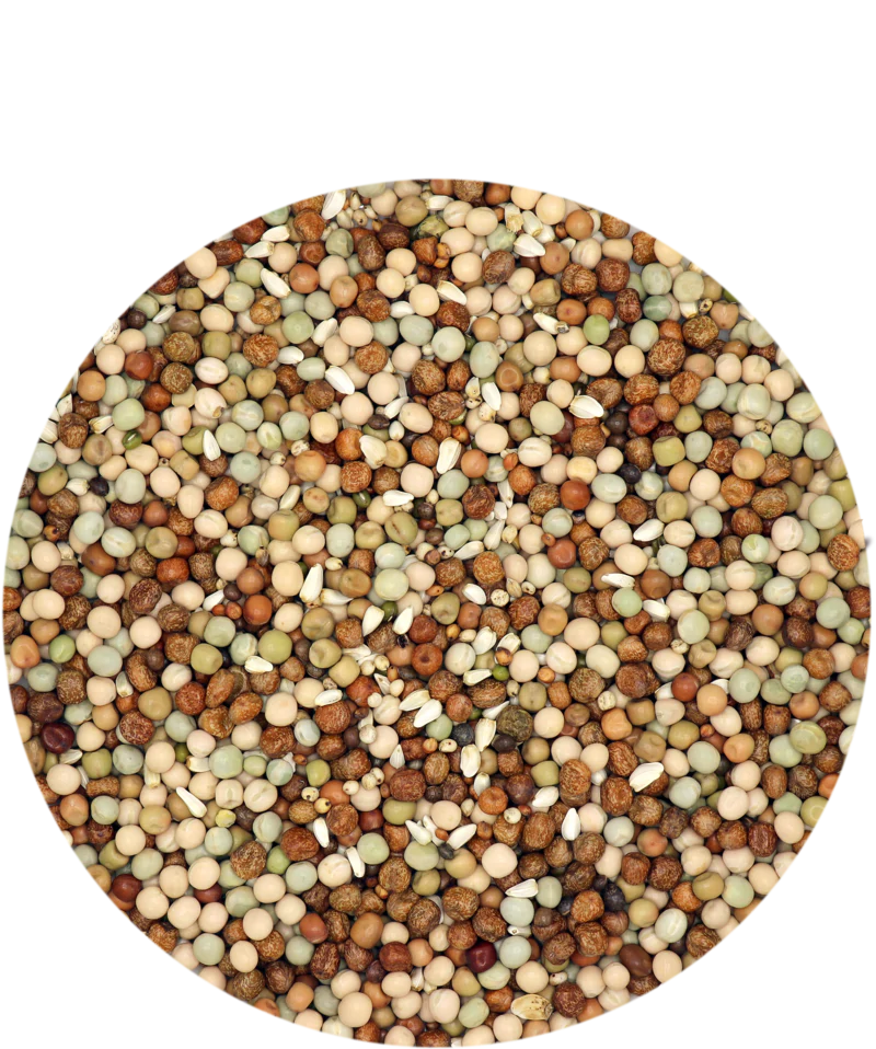 Versele-Laga Traditional Liege Special Pigeon Food 25kg - Image 2