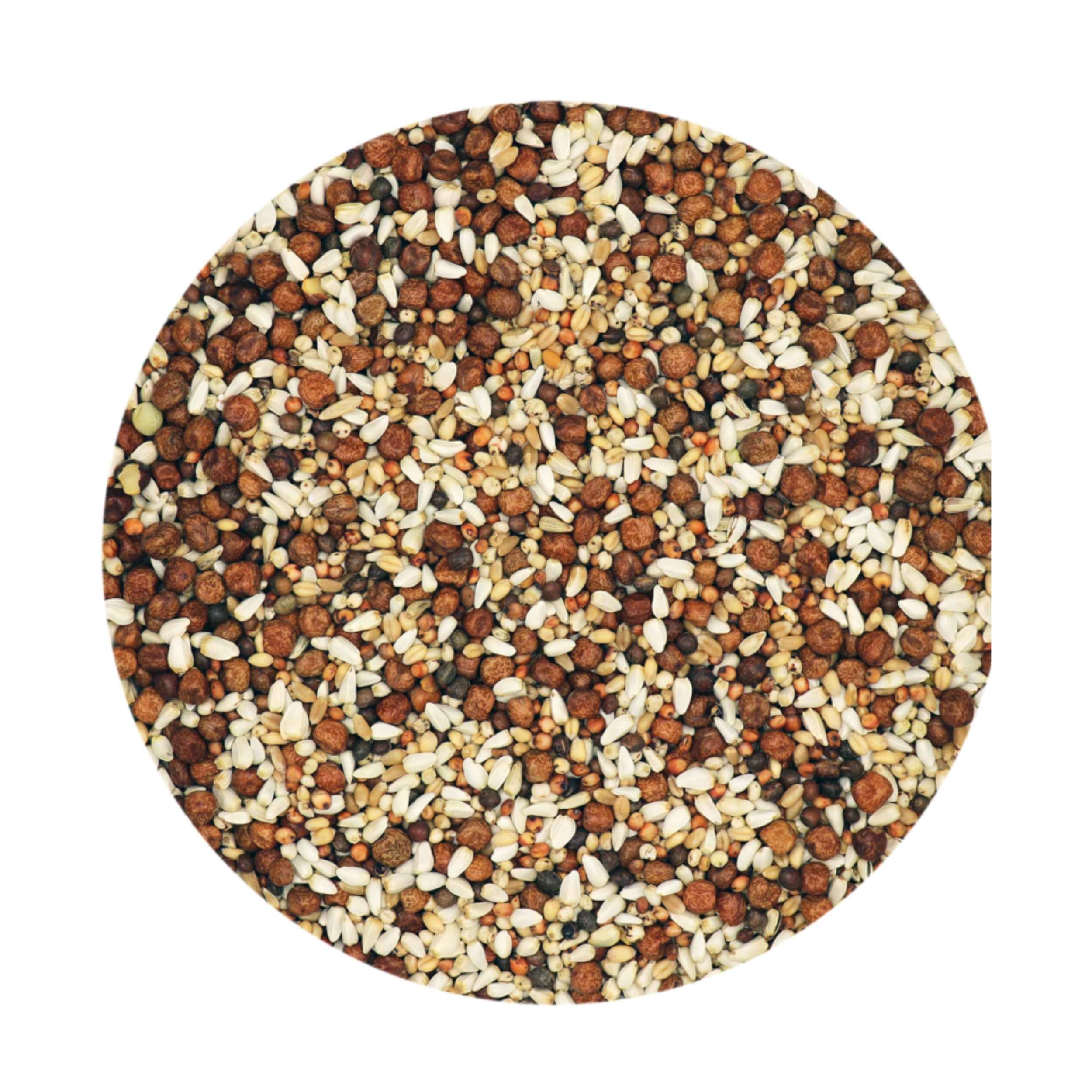 Versele-Laga Traditional Premium Junior UK Breed & Wean for Young Pigeons 20kg - Image 2