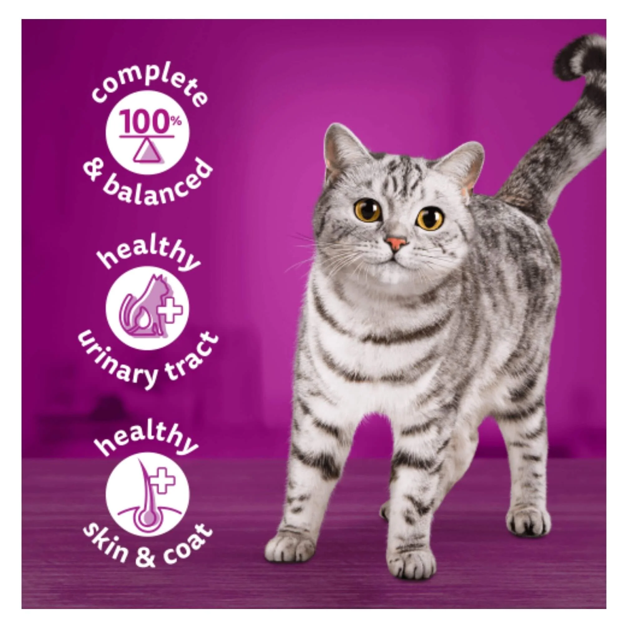 Whiskas 1+ Adult Farm Menu in Jelly Cat Food 24 x 400g - Image 2