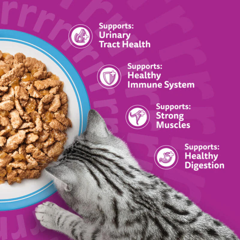 Whiskas Senior 7+ Fish Favourites in Jelly Cat Food 85g x 48 - Image 3